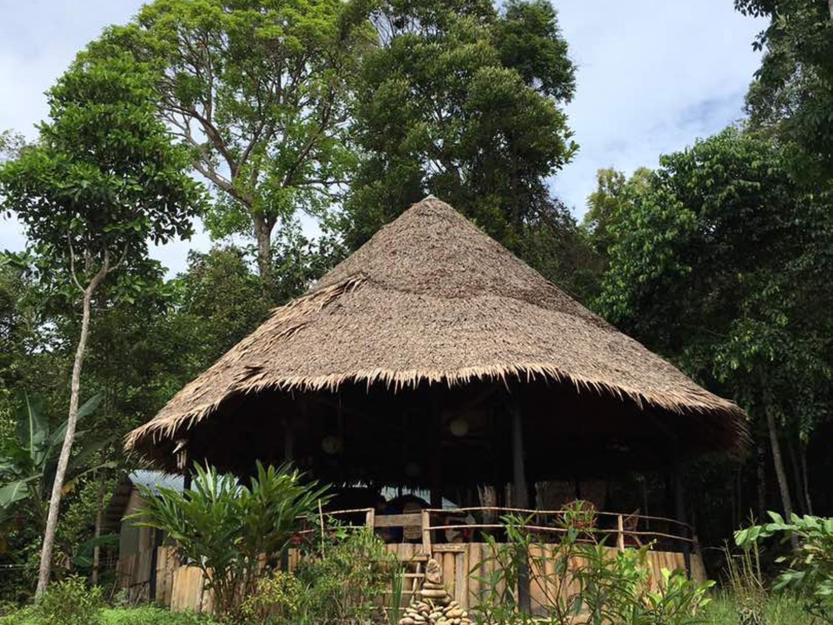 Housesitting assignment in Kuching, Malaysia