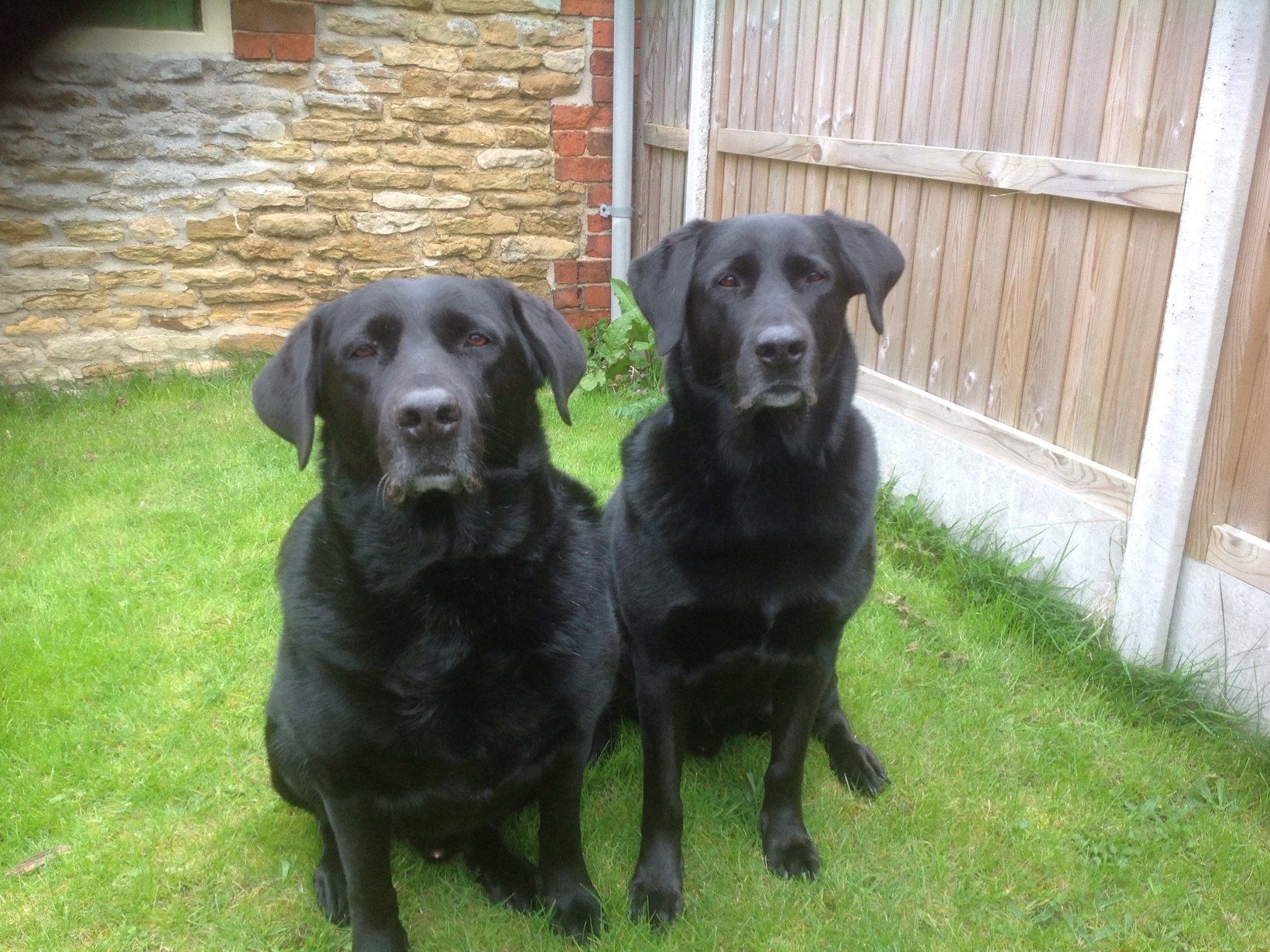 Julie from Coleby, United Kingdom