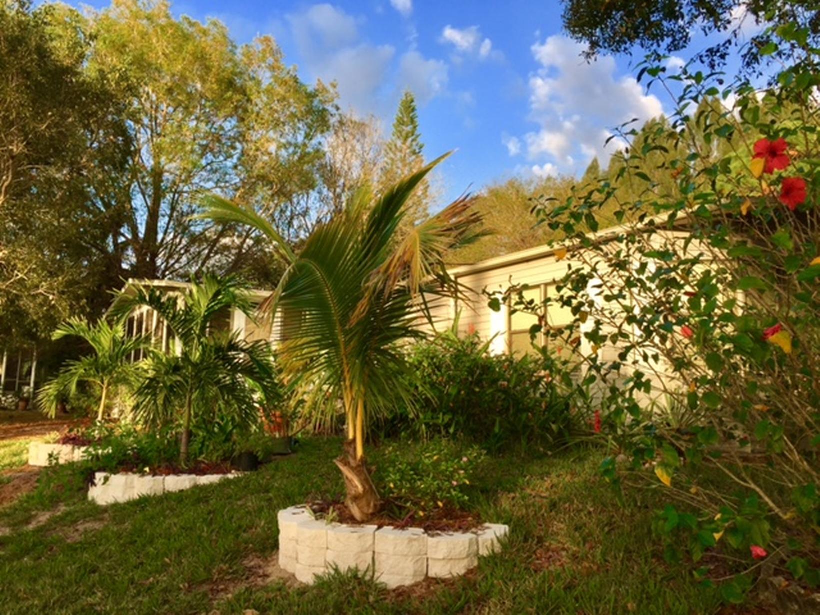 Housesitting assignment in North Fort Myers, FL, United States