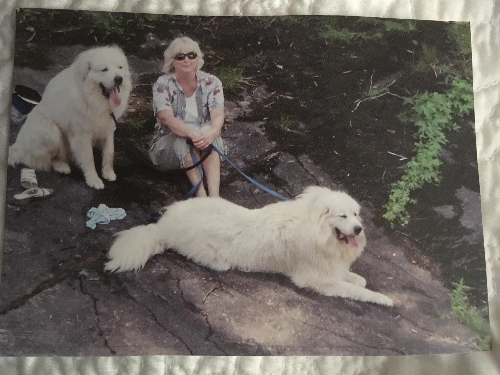 Kacy from Naples, Florida, United States