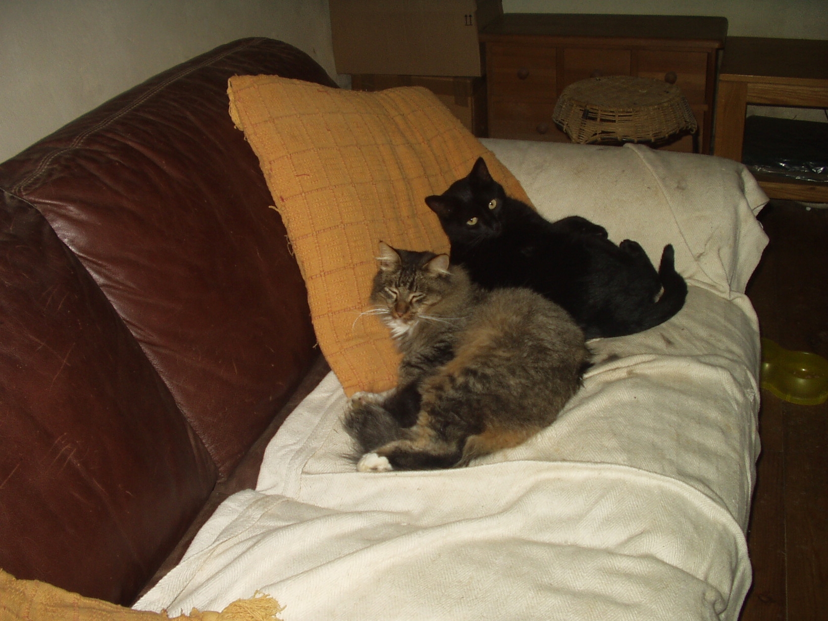 Housesitting assignment in Guilliers, France