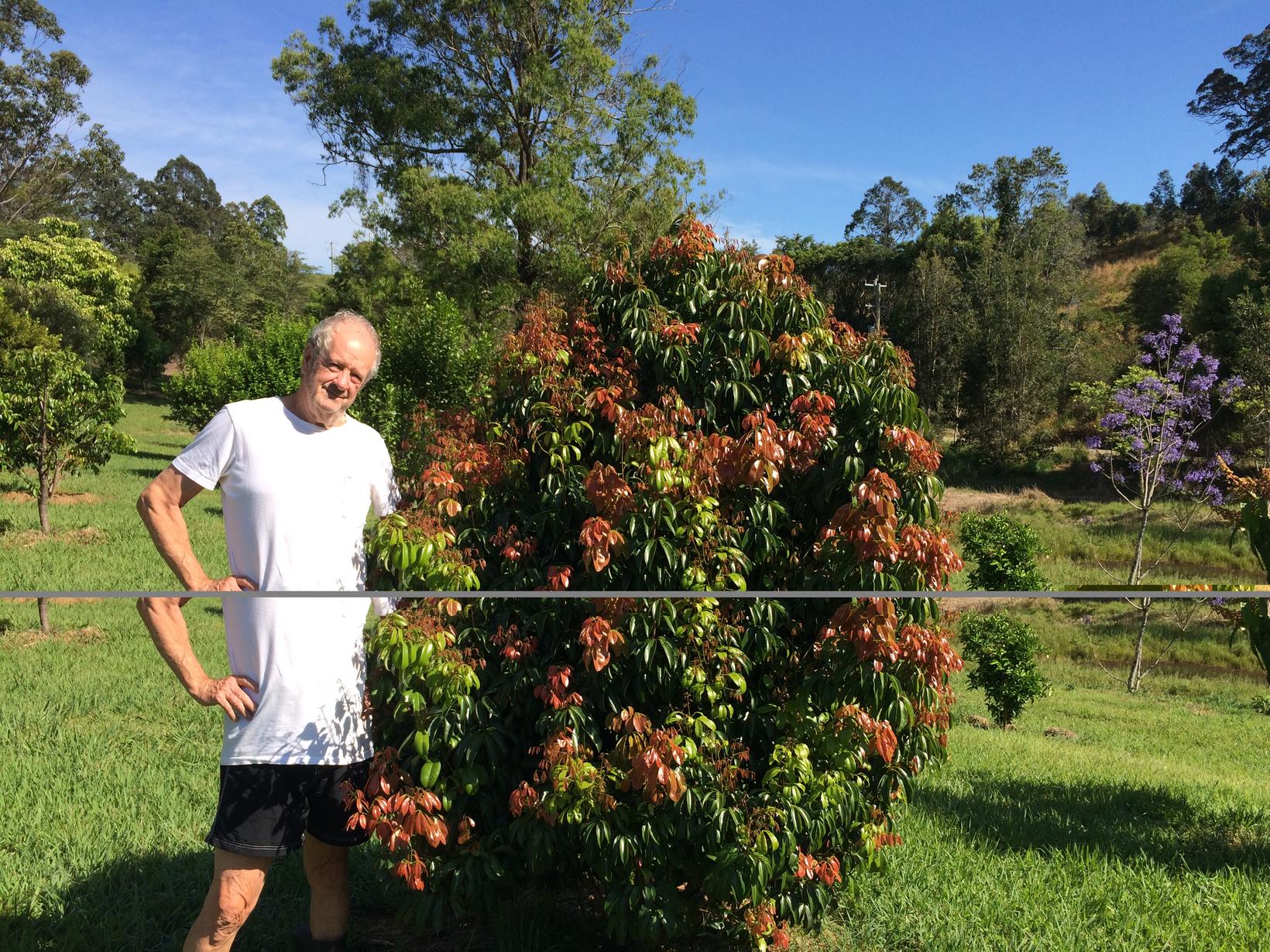 David & Jing from Coffs Harbour, New South Wales, Australia