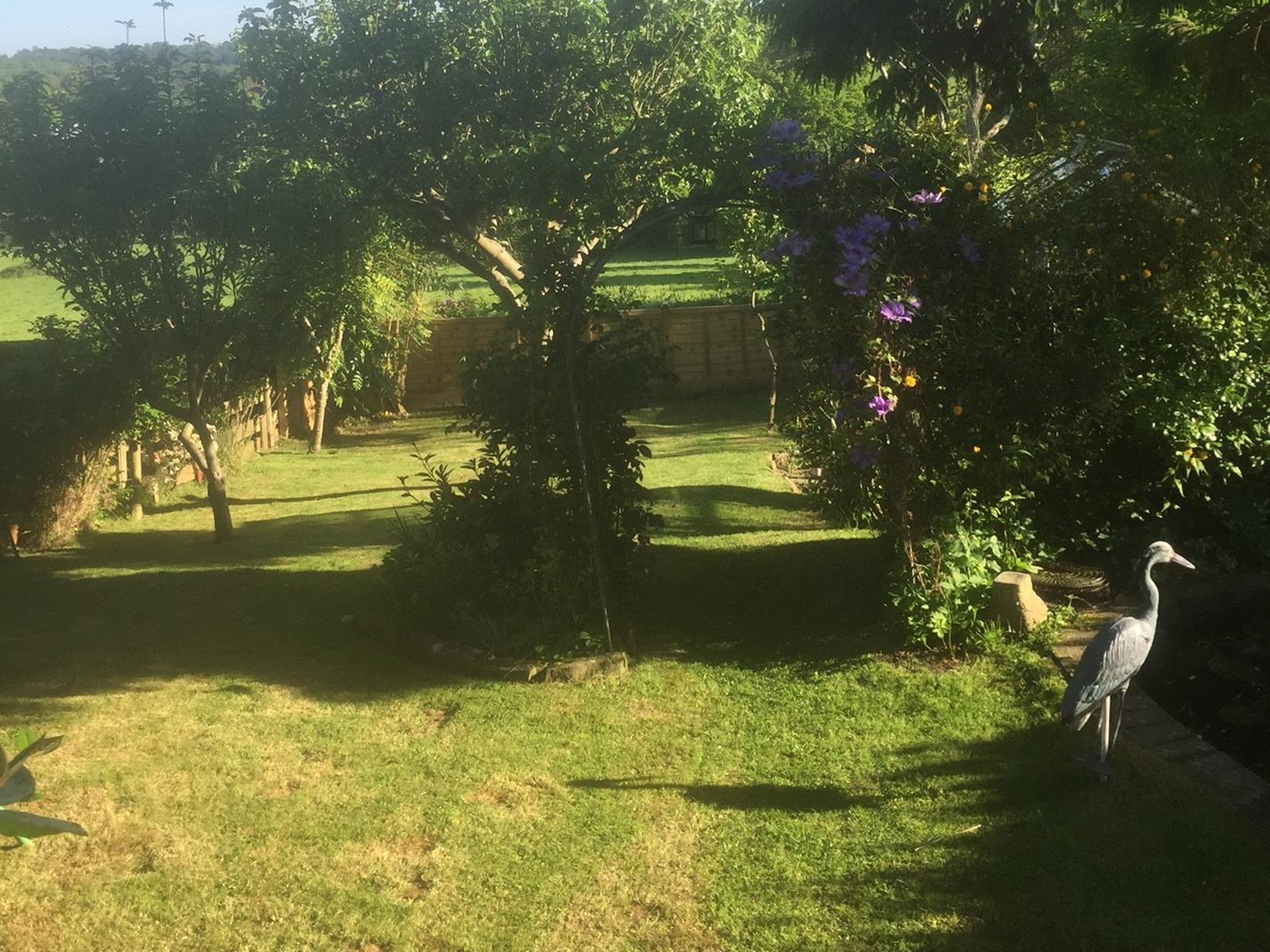 Housesitting assignment in Robertsbridge, United Kingdom