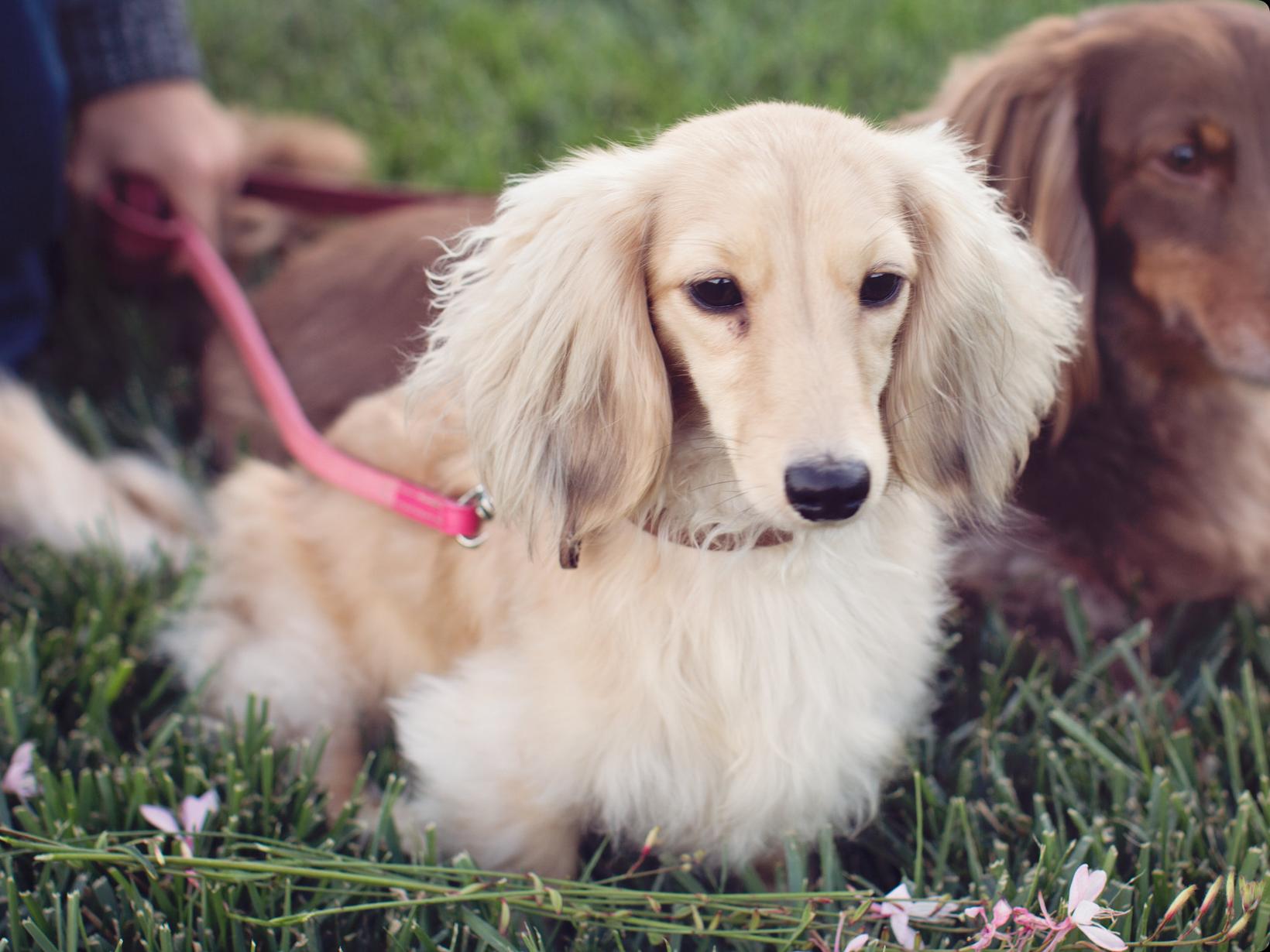Katey from San Diego, California, United States