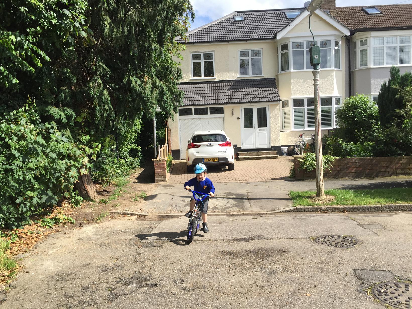 Housesitting assignment in London, United Kingdom