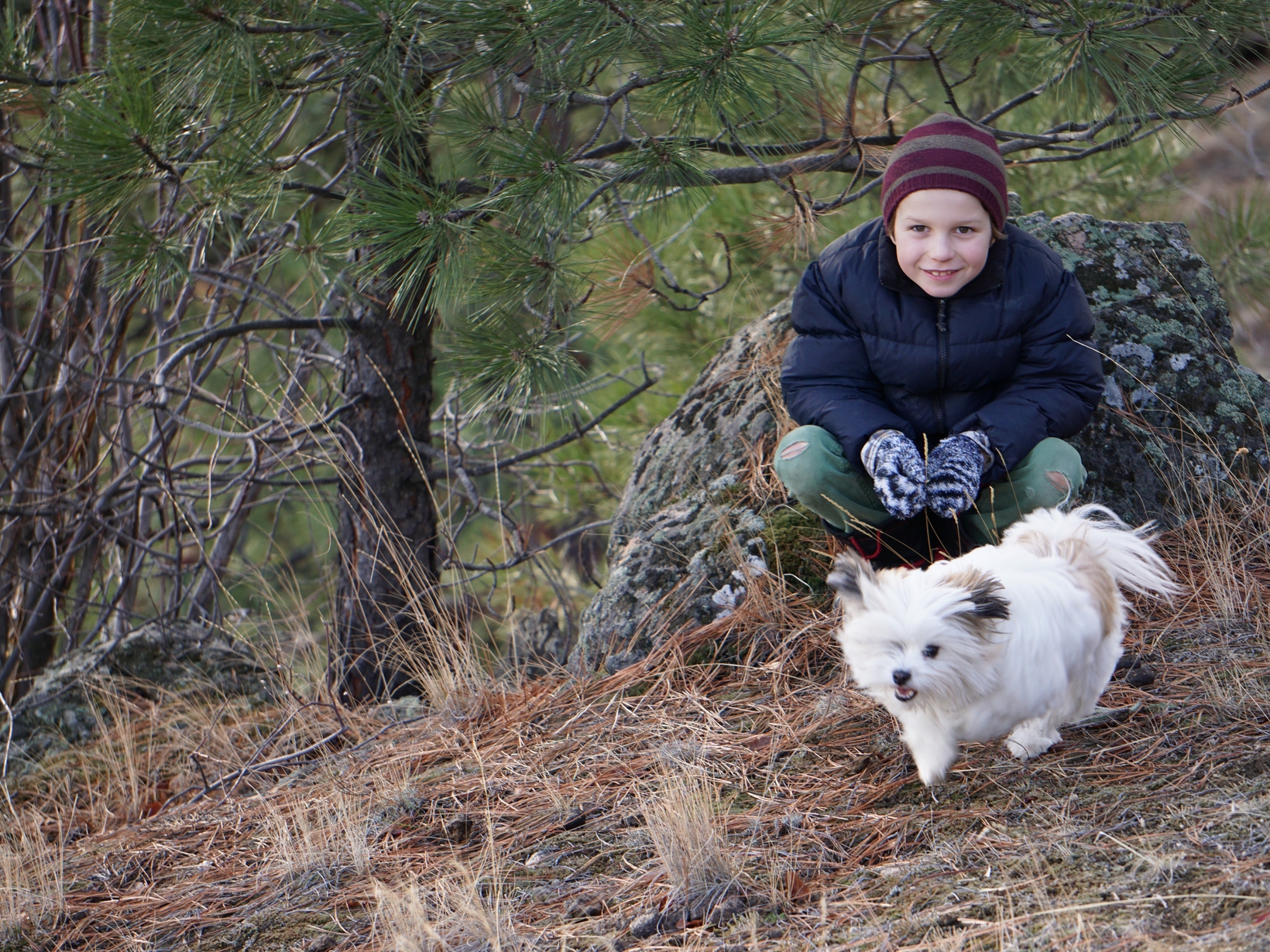 Julie from Penticton, British Columbia, Canada