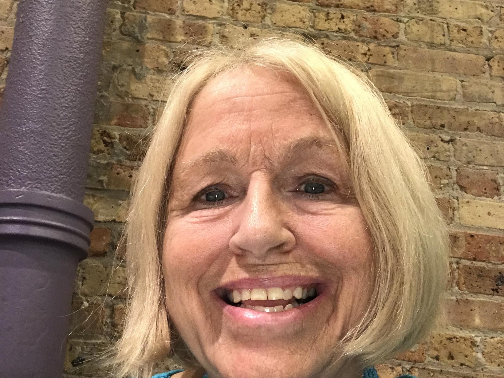 Housesitting assignment in Chicago, Illinois, United States