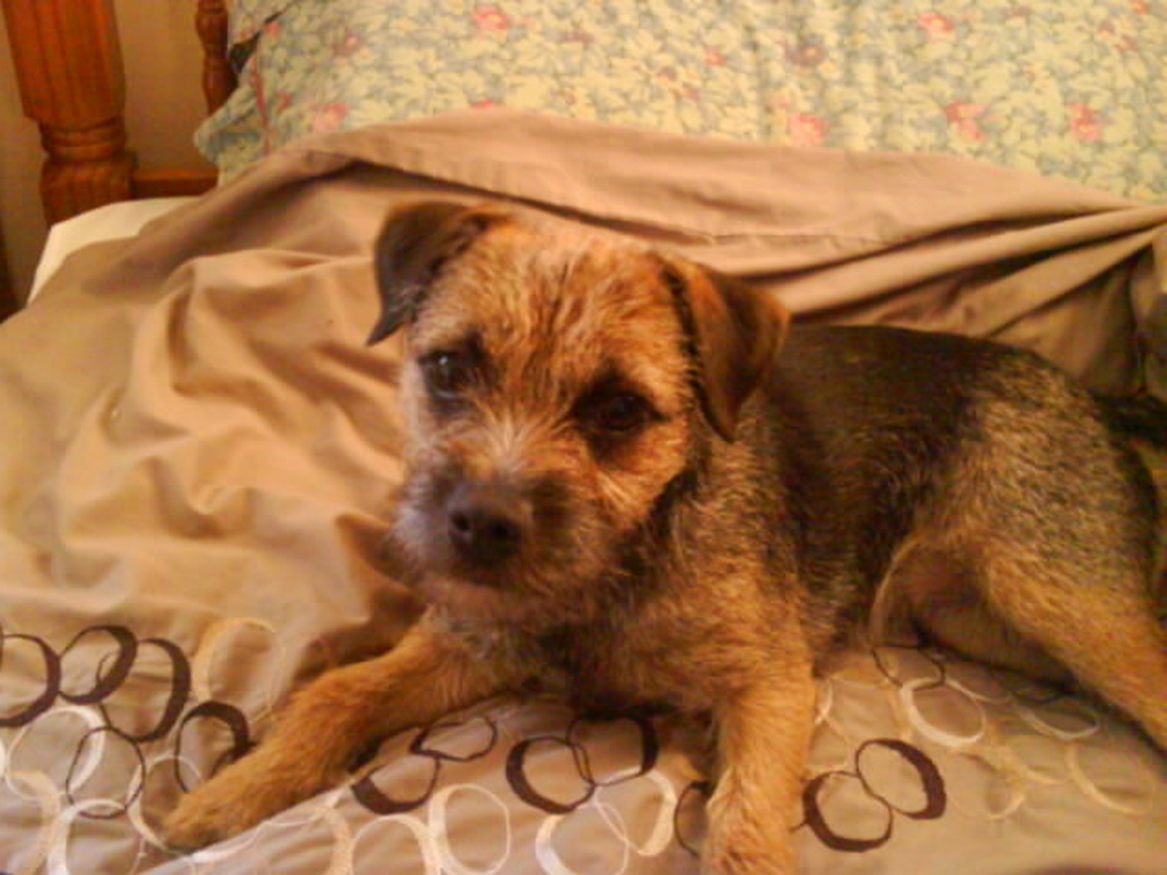 Moira from Oxford, United Kingdom