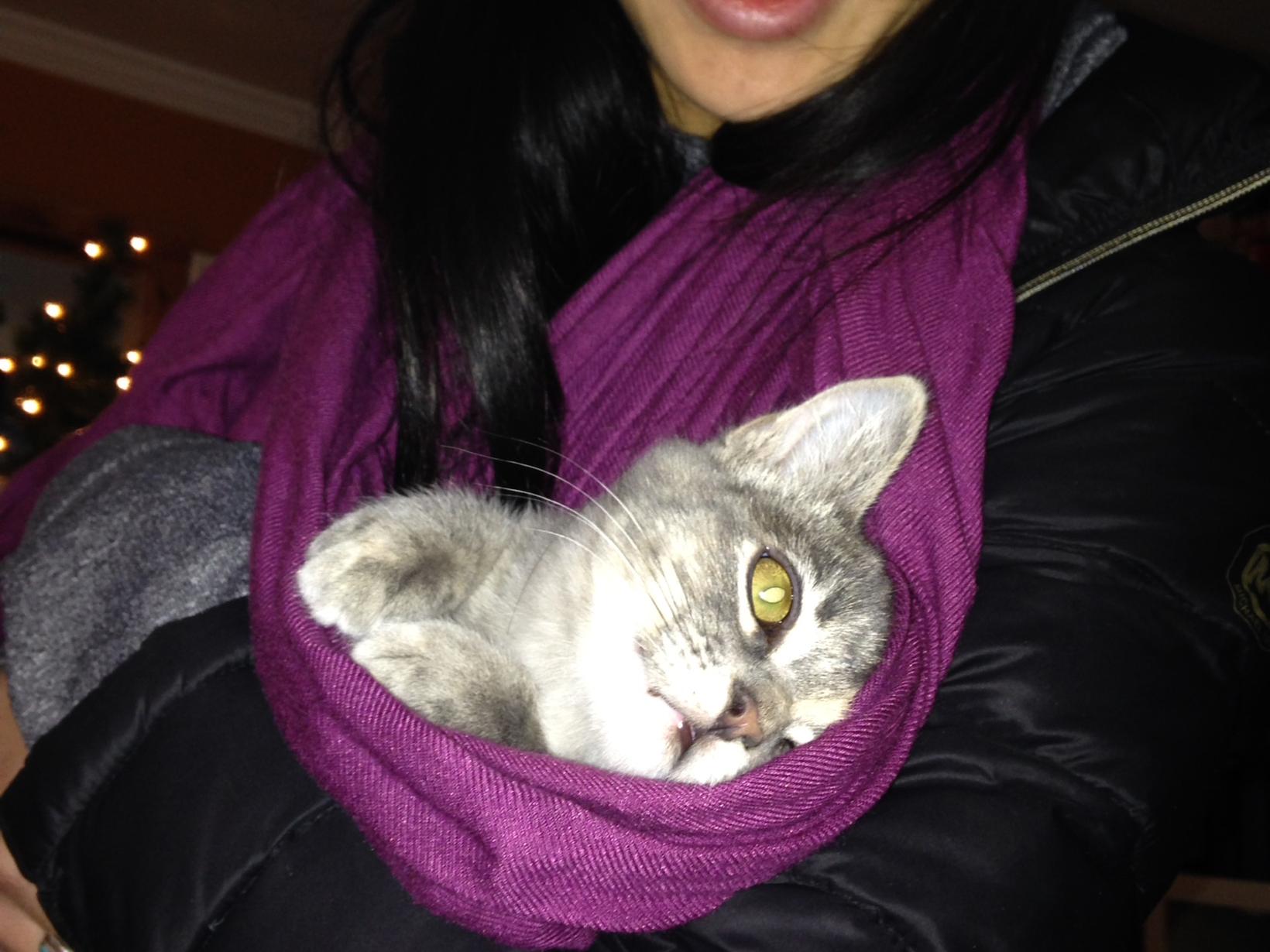 Lexi from Salt Lake City, Utah, United States