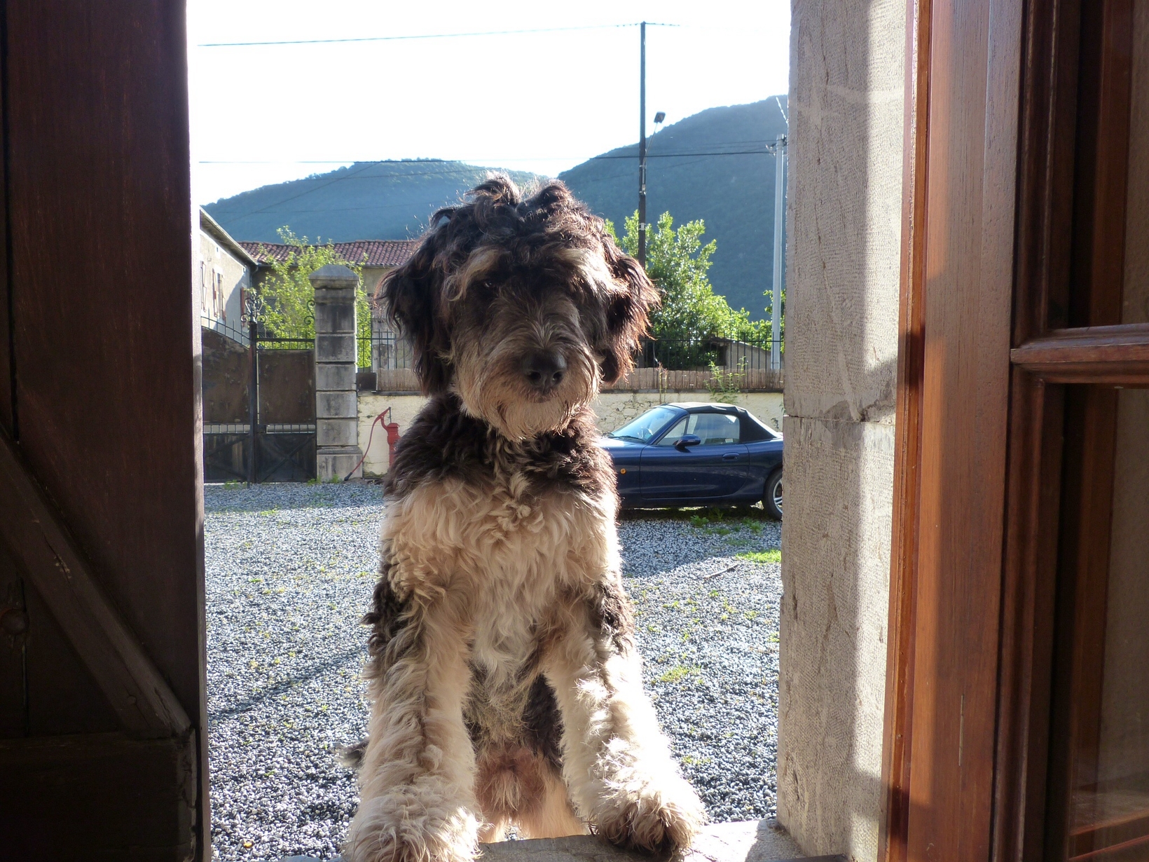 Maria & Frank from Blenheim, New Zealand