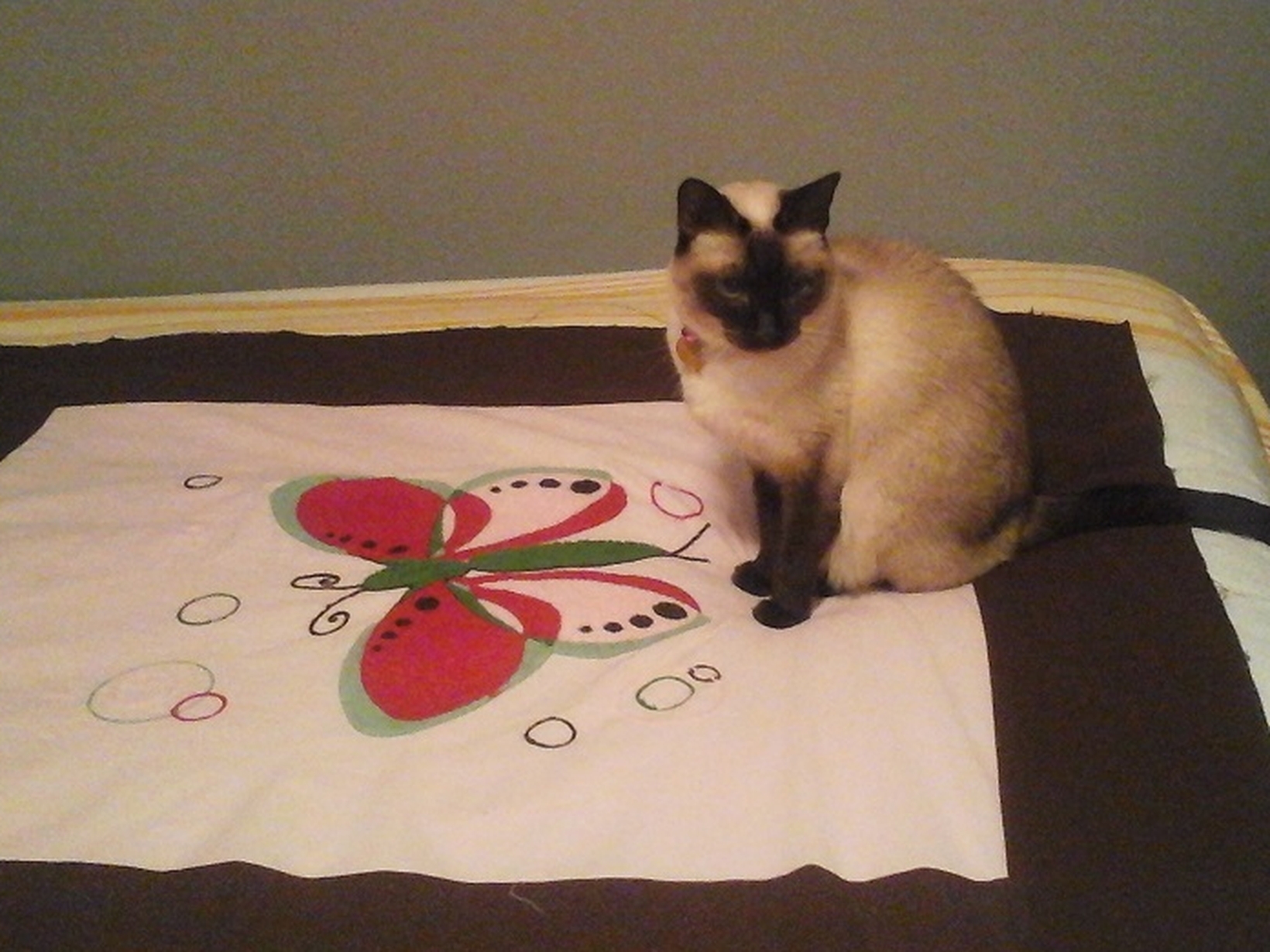Brenda from Peterborough, Ontario, Canada