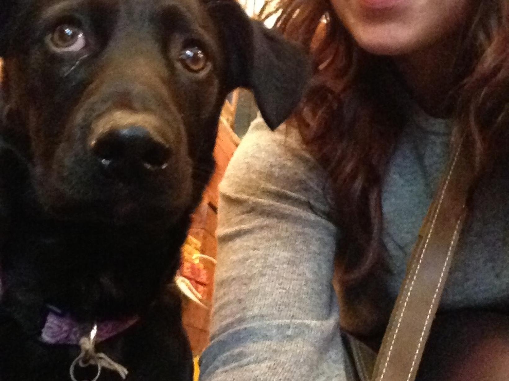 Katie from Boarhills, United Kingdom