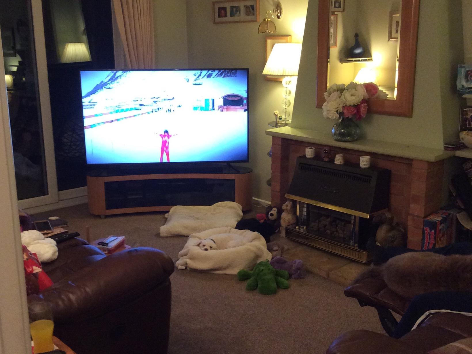 Housesitting assignment in Swindon, United Kingdom