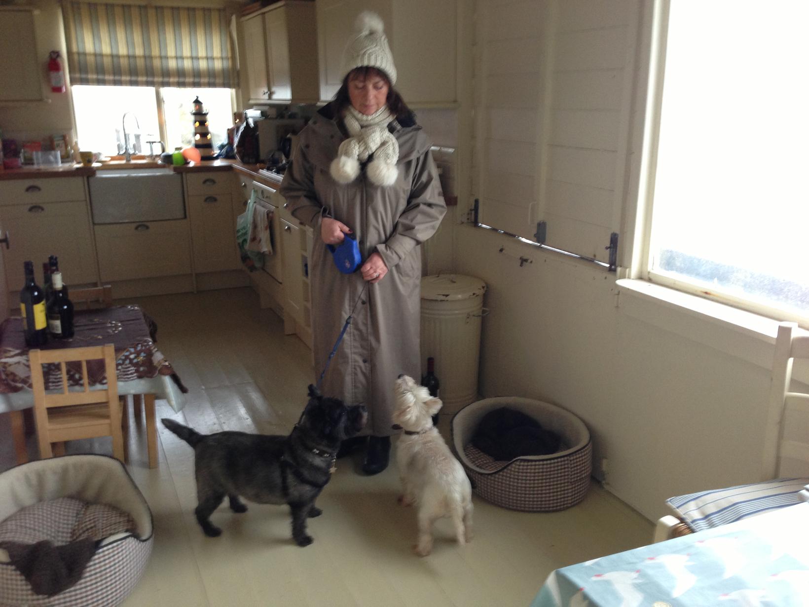 Louise & Steve from Ruffec, France