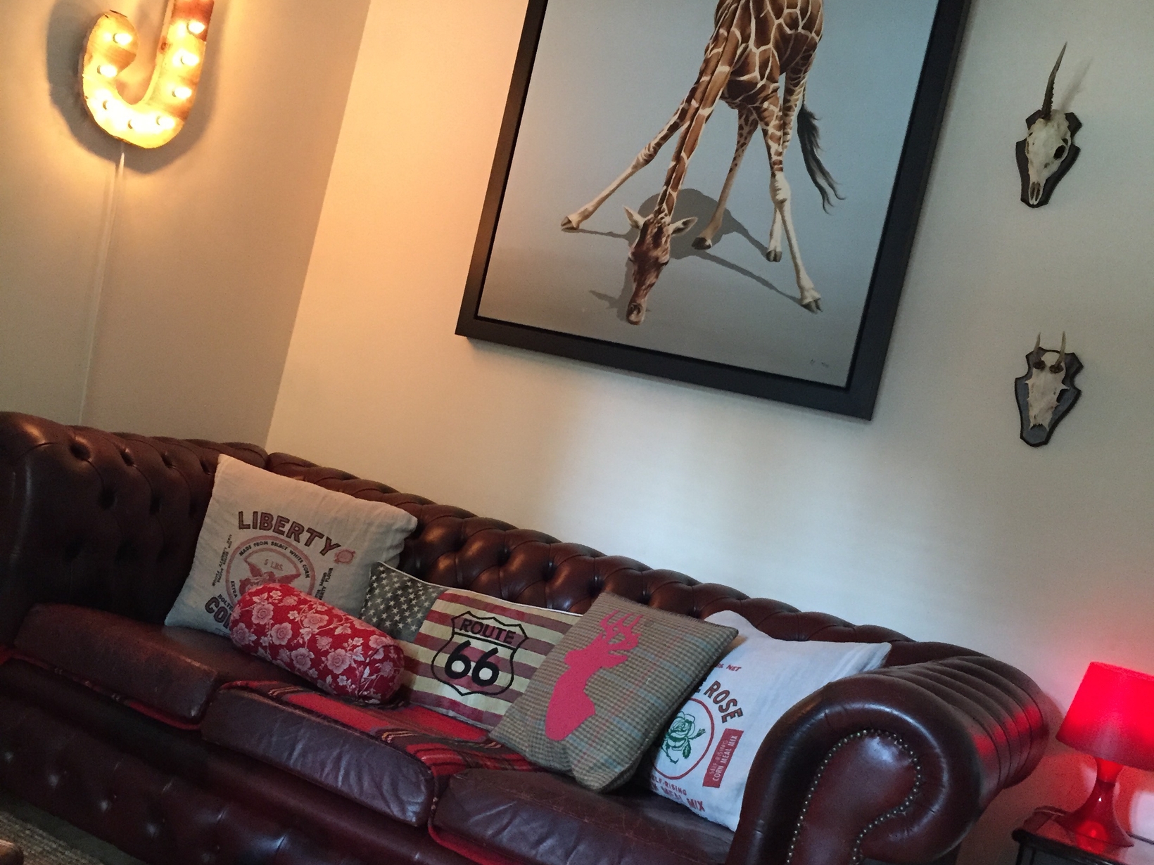 Housesitting assignment in Gateshead, United Kingdom