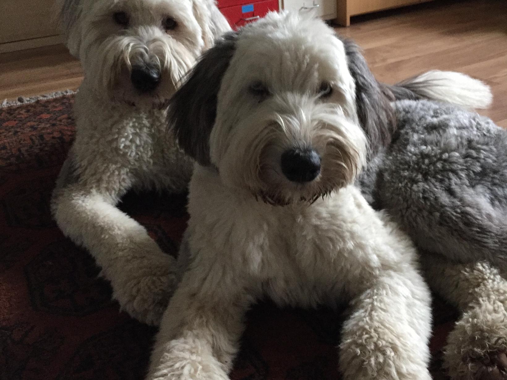Annette & Robert from Kilkenny, Ireland