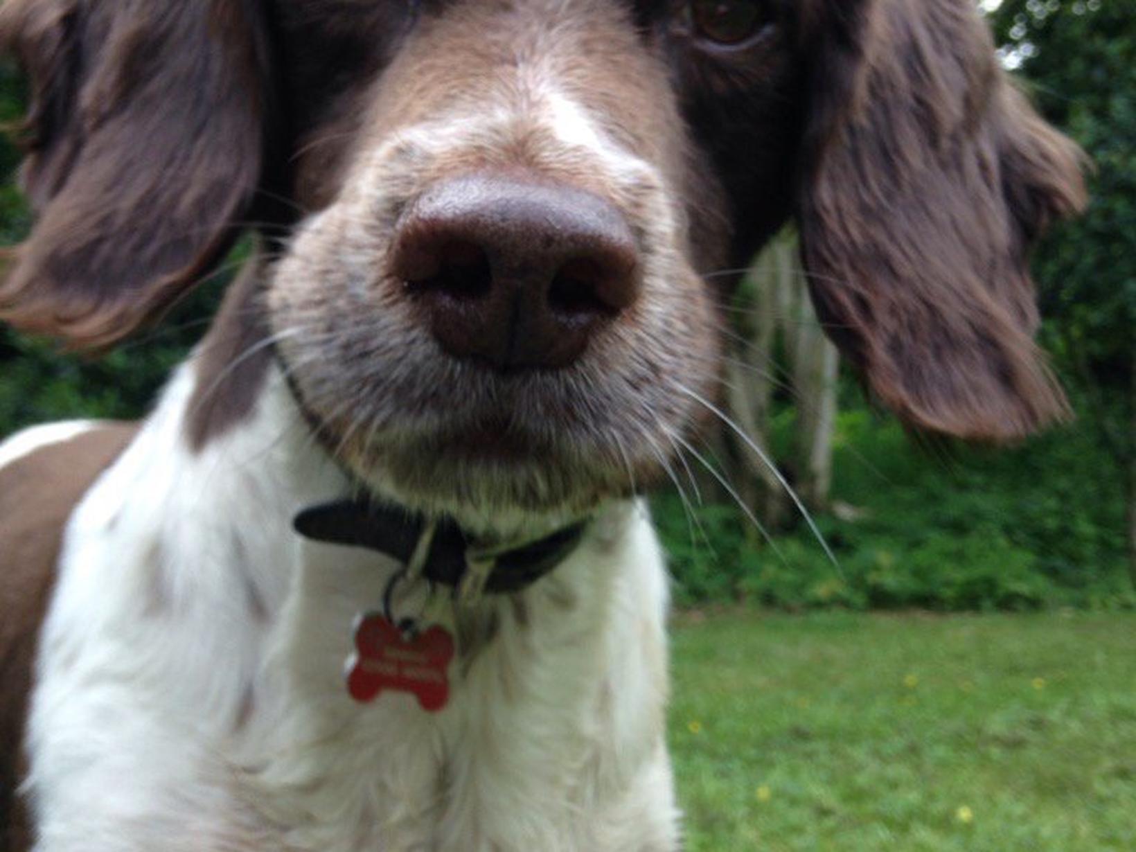 Ruby from Banstead, United Kingdom