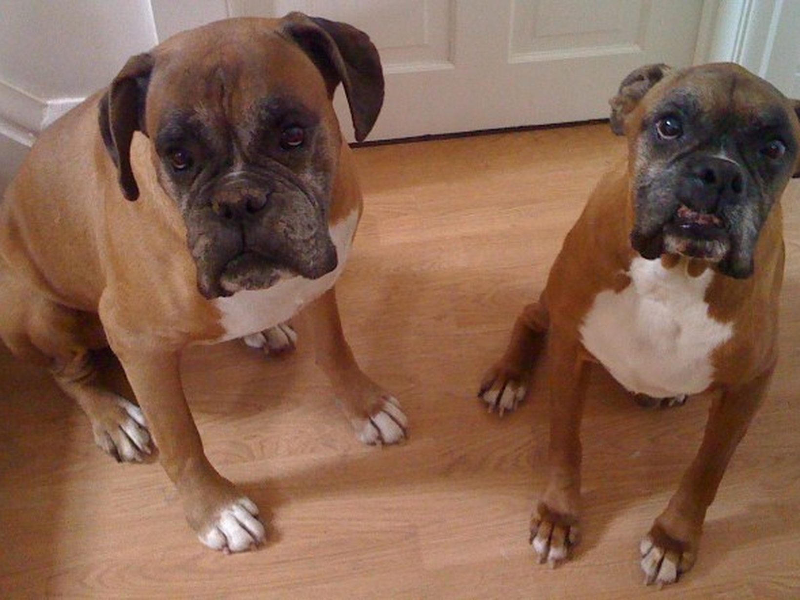 Spencer & Avril from Burnham-on-Sea, United Kingdom