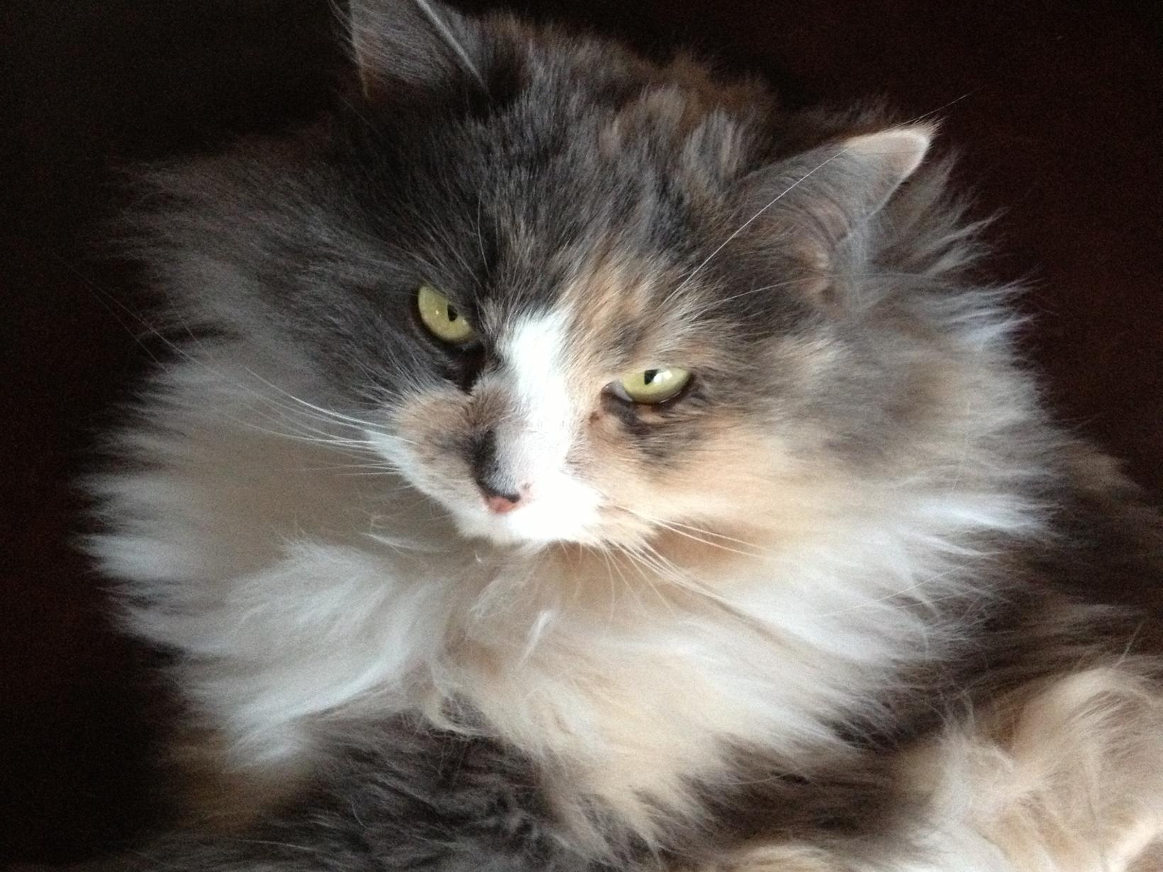 Patti & Edward from Kimberley, British Columbia, Canada