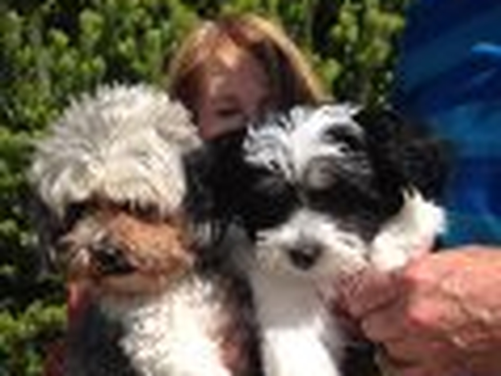 Vivienne & Chris from Beaumaris, Victoria, Australia