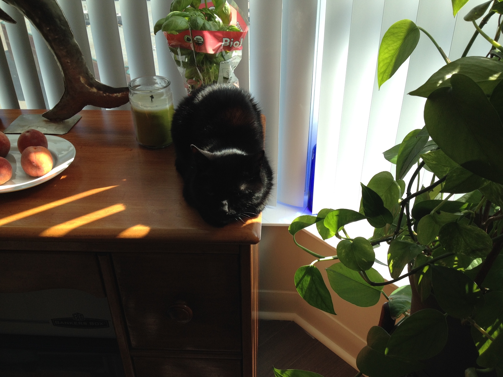 Susan from Vancouver, British Columbia, Canada