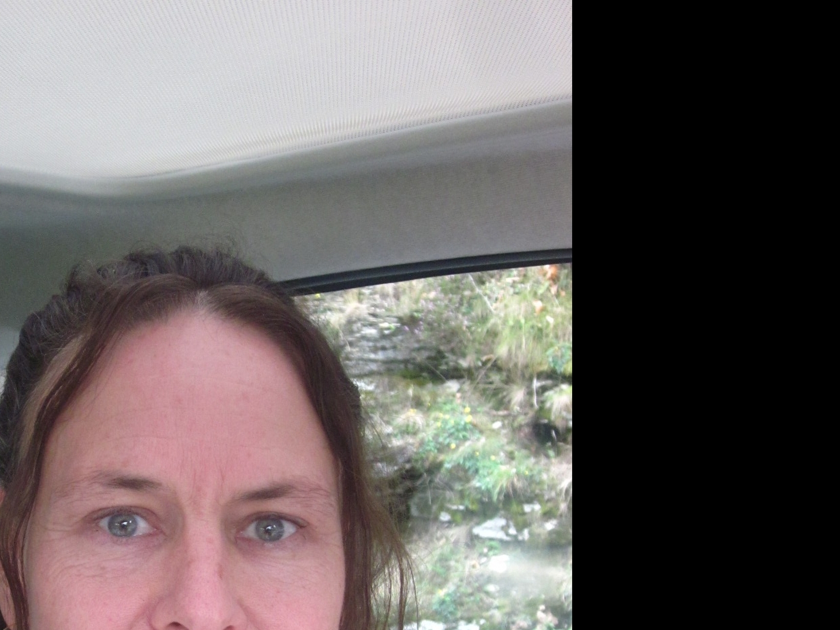 Anne from California Hot Springs, California, United States