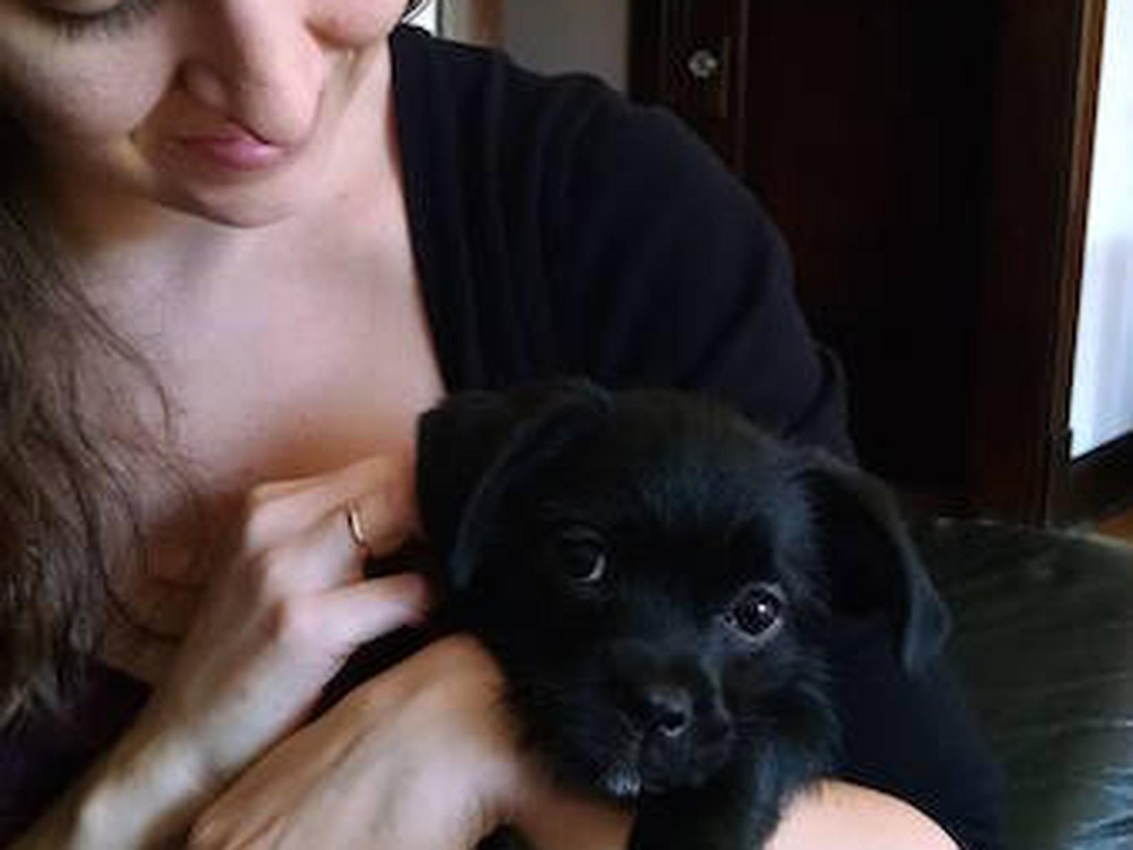 Karen from Chicago Loop, Illinois, United States