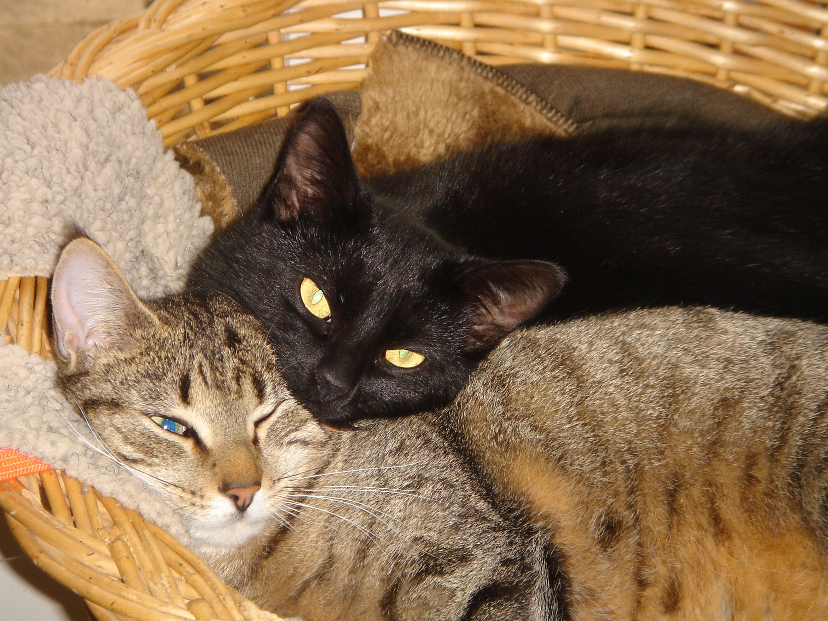 John & Shiona from Gorron, France