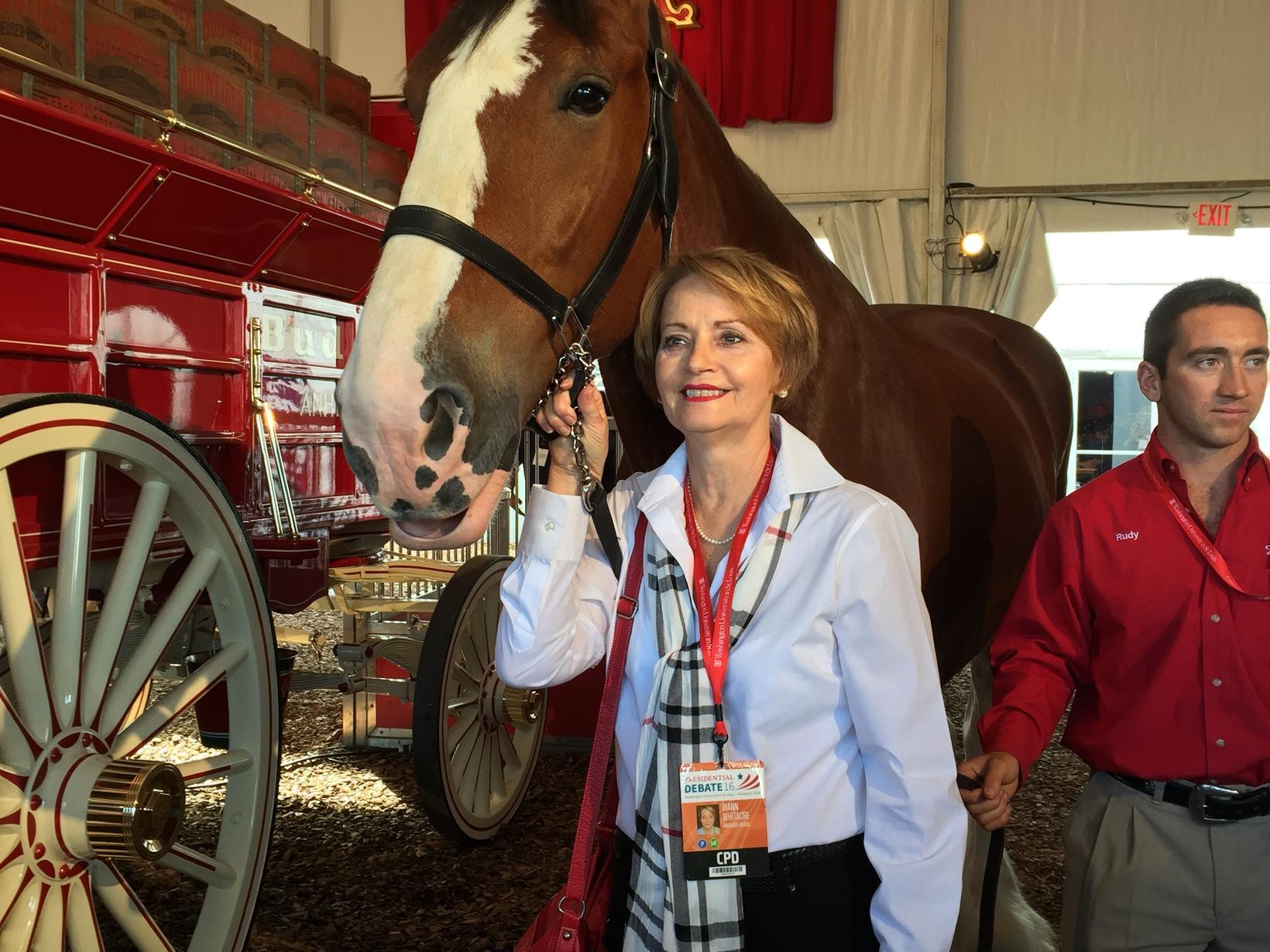 Diann & Bill from Washington, Missouri, United States