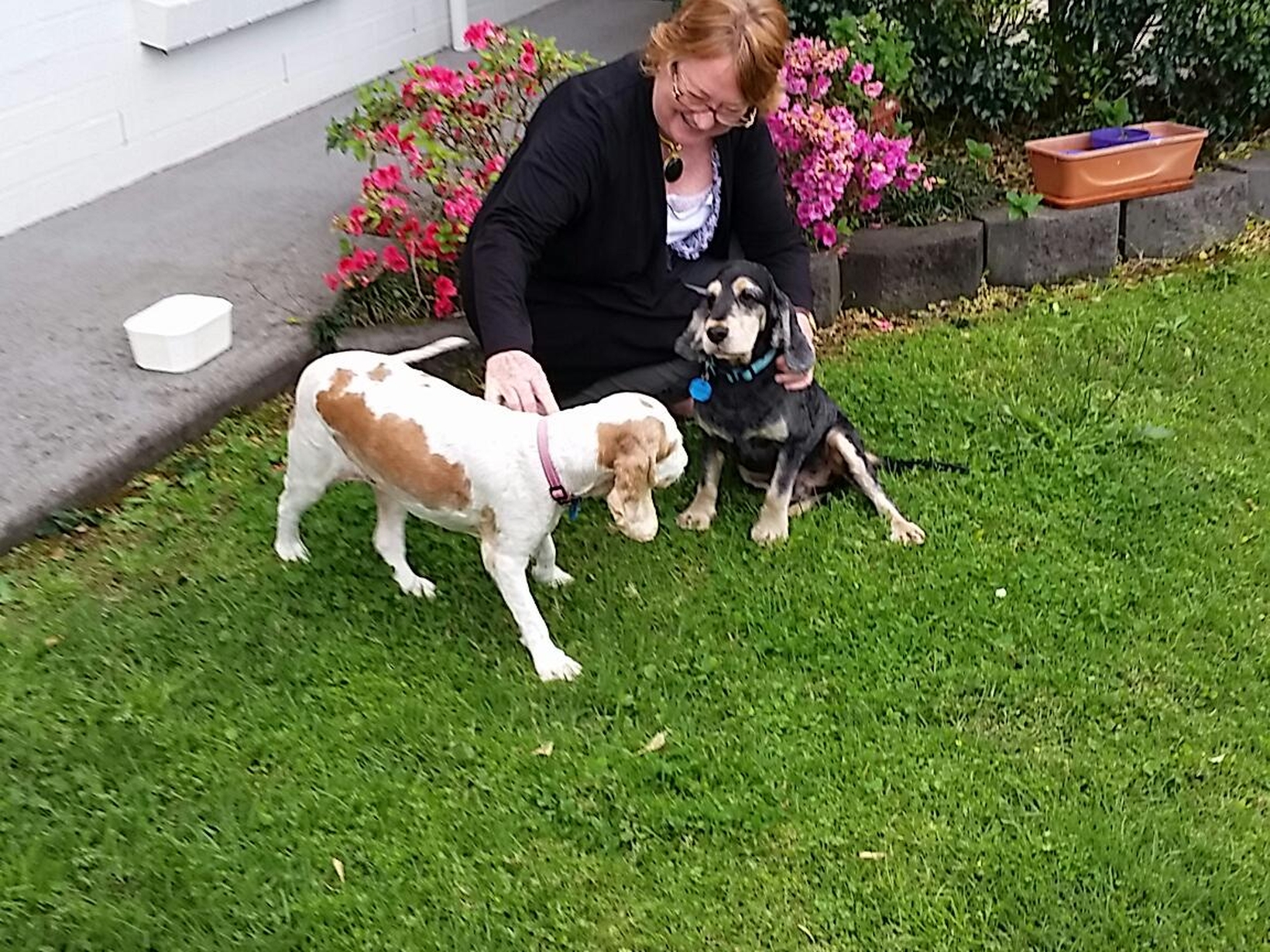 Wendy from Lismore, New South Wales, Australia