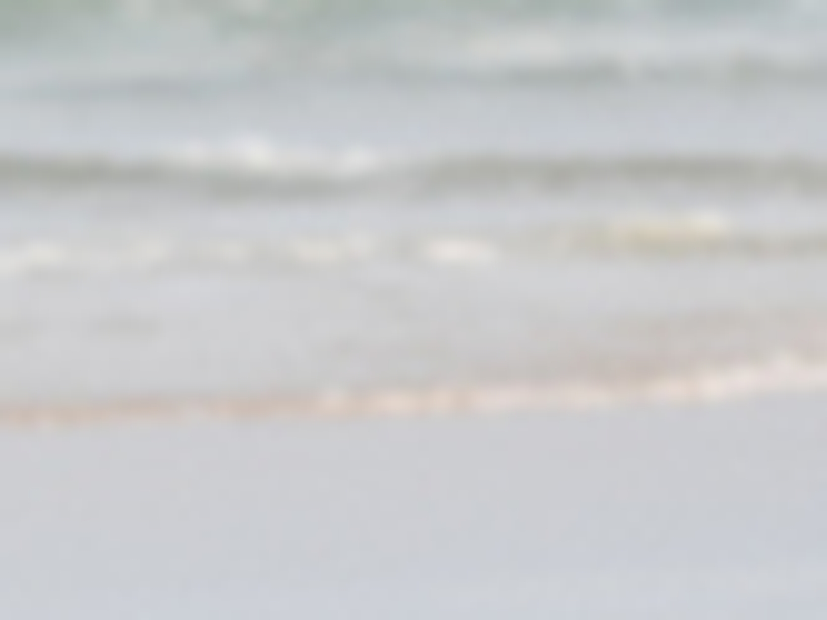 Diane from Mortagne-sur-Gironde, France