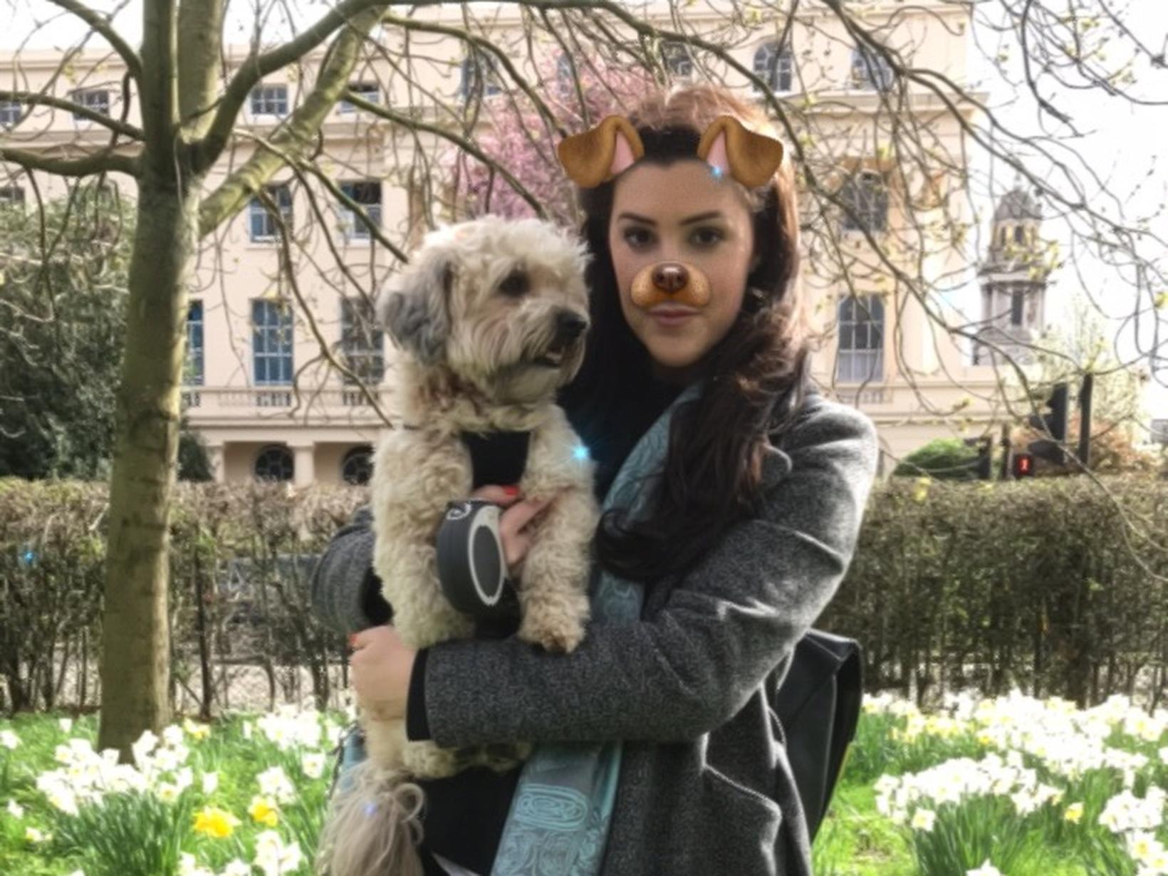 Cat from London, United Kingdom