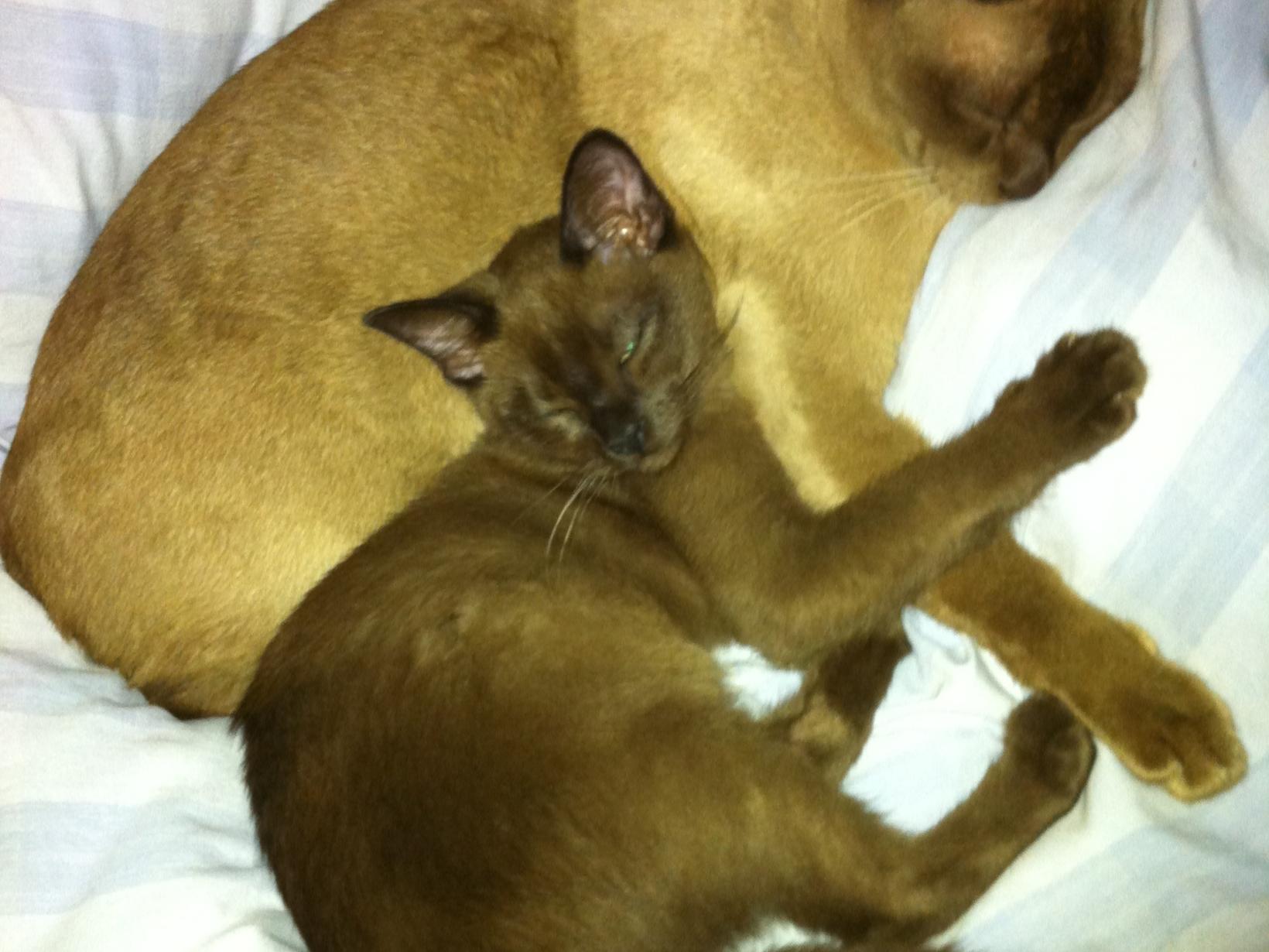 Kanella & Peter from Melbourne, Victoria, Australia