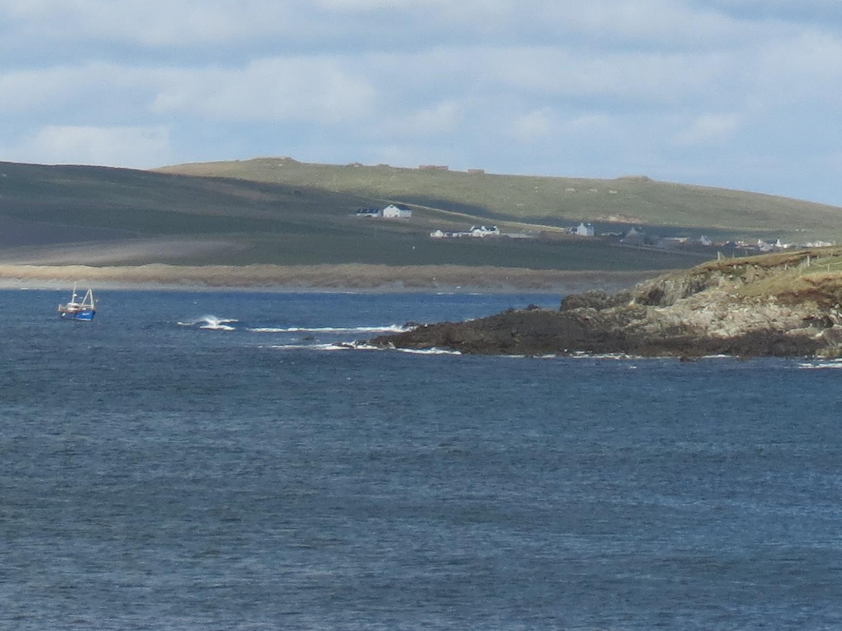 Housesitting assignment in Sumburgh, United Kingdom