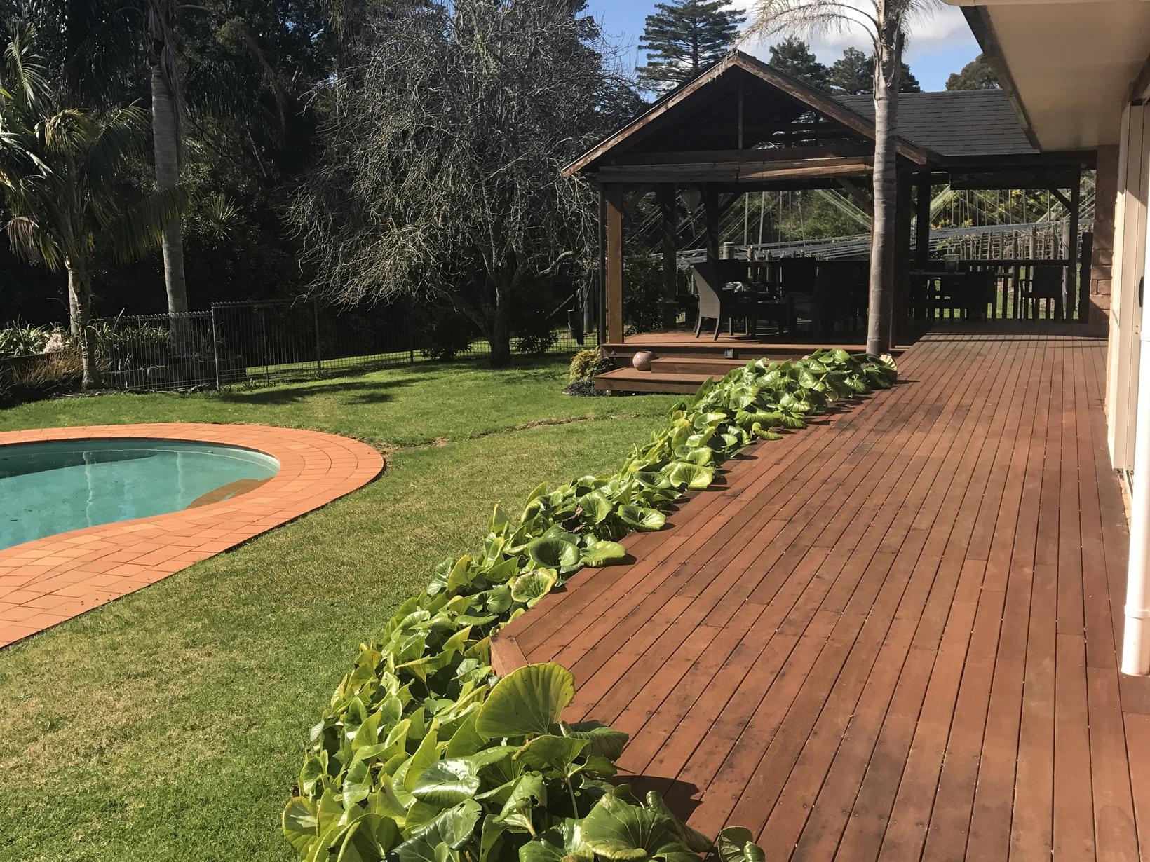 Housesitting assignment in Kerikeri, New Zealand