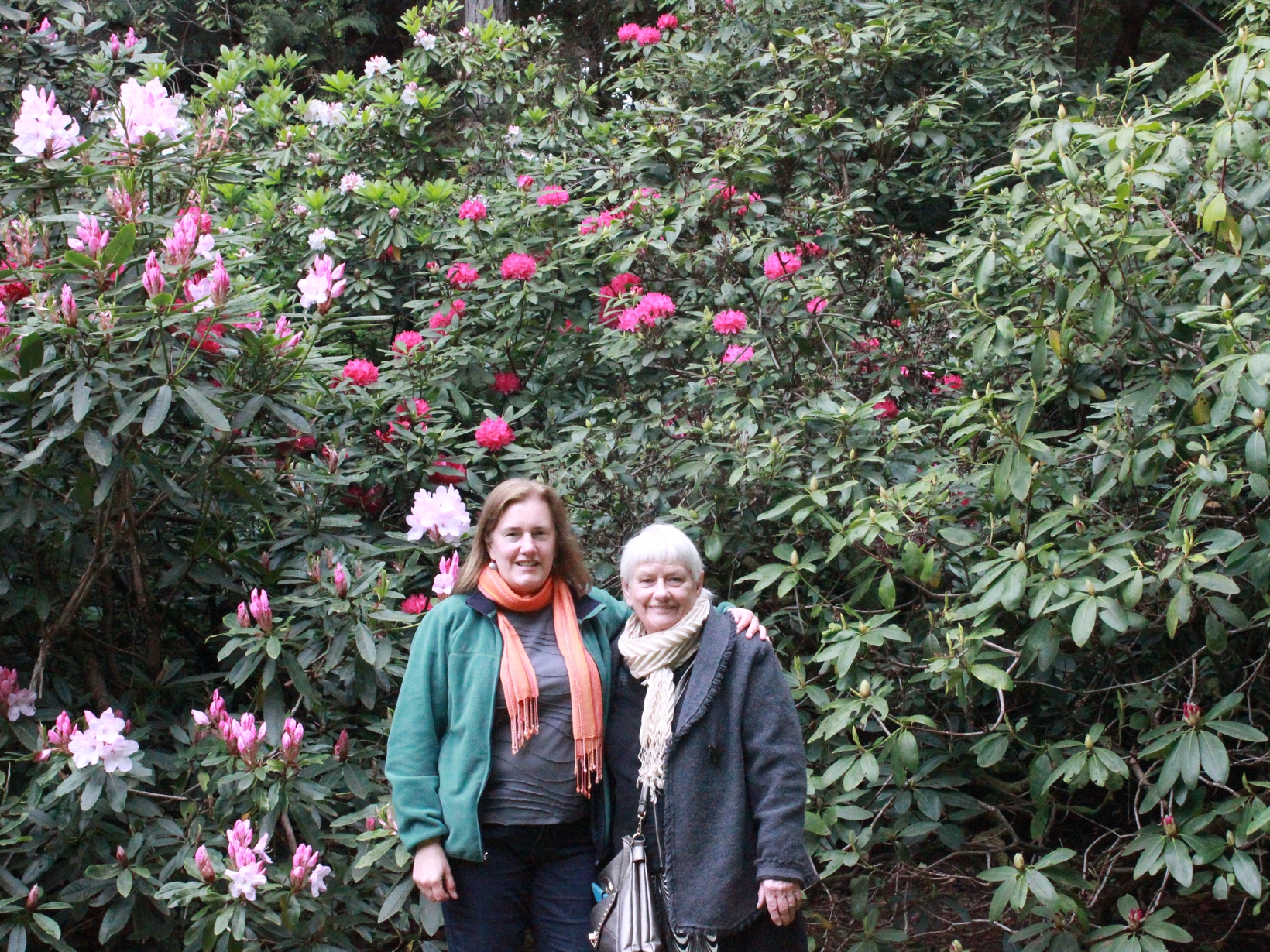 Susan from Seattle, Washington, United States