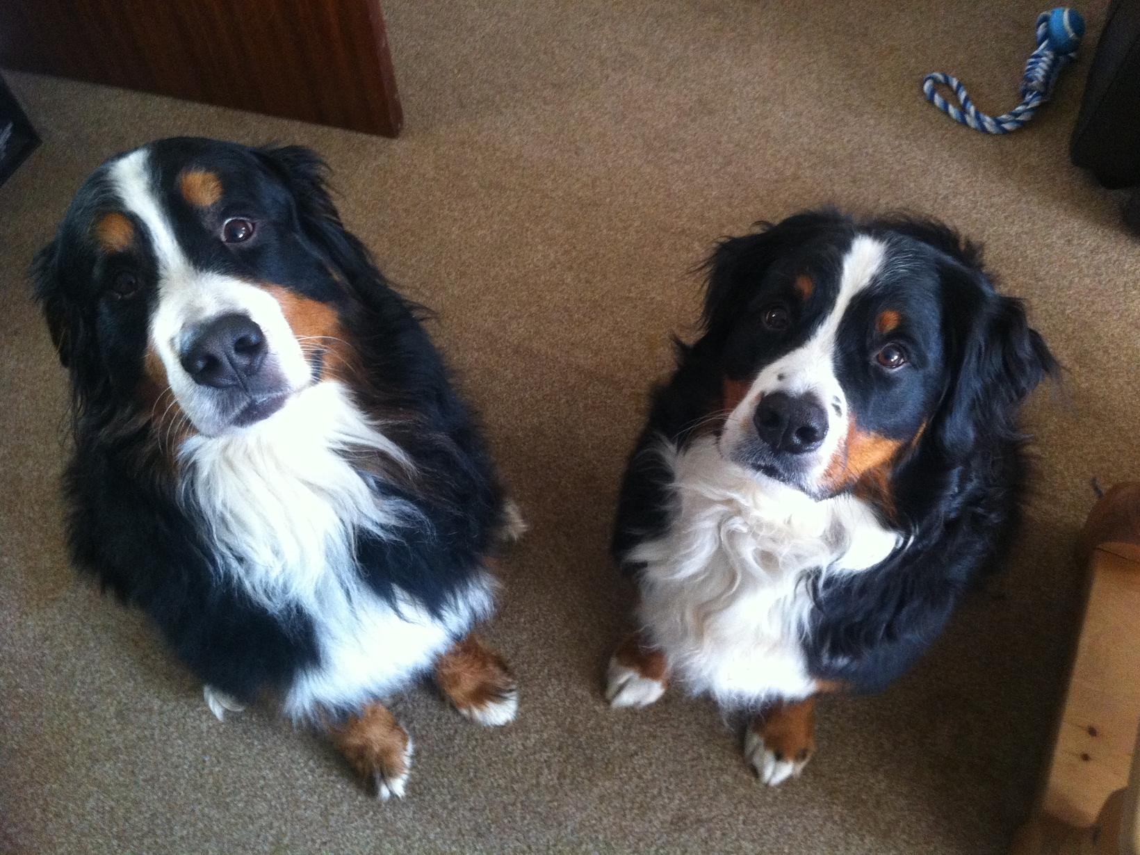 Lisa & Paul from Lincoln, United Kingdom