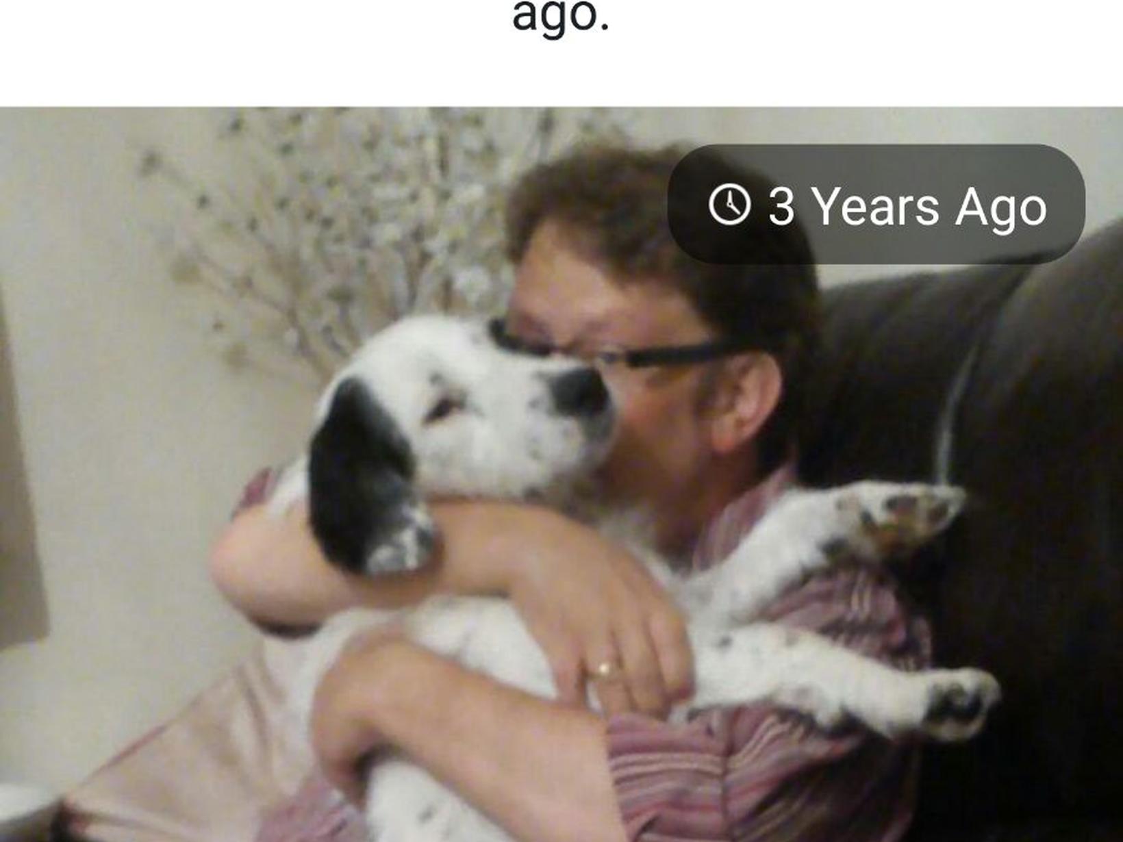 Housesitting assignment in Ashford, United Kingdom