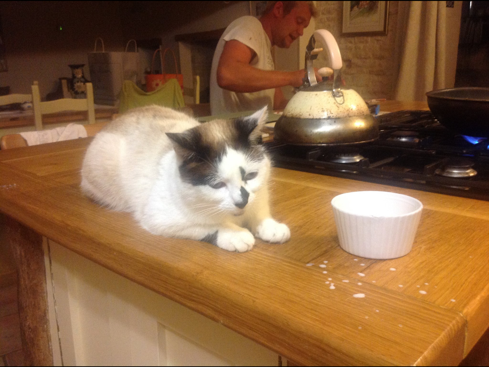 Housesitting assignment in Aulnay, France