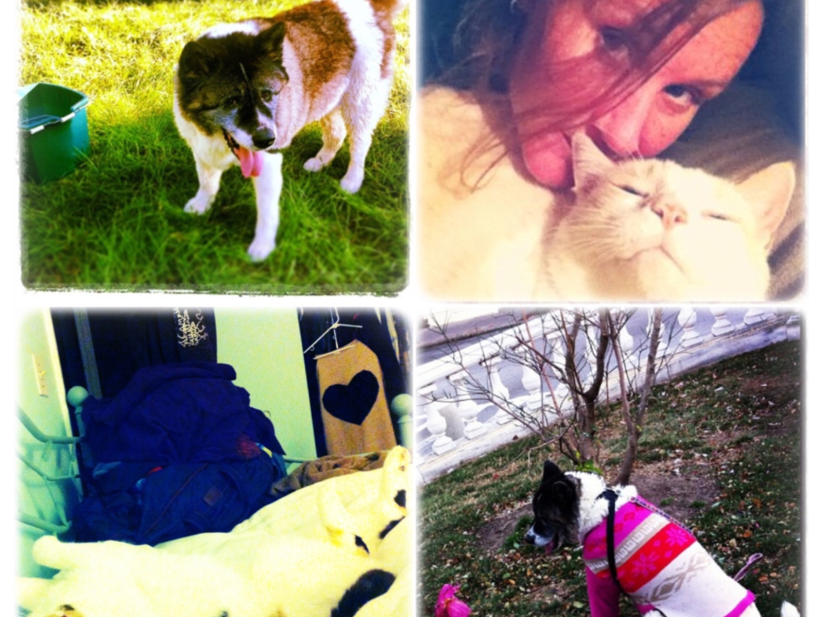 Tracy & Dane from Annapolis, Maryland, United States