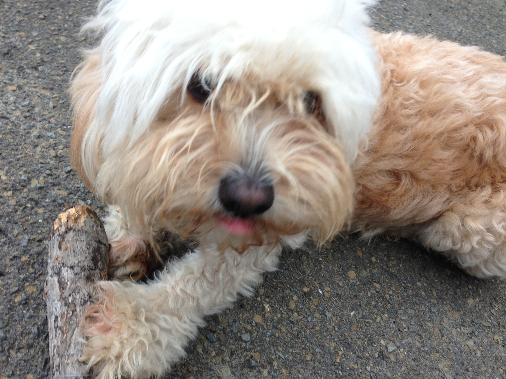 Tracey from Dublin, Ireland