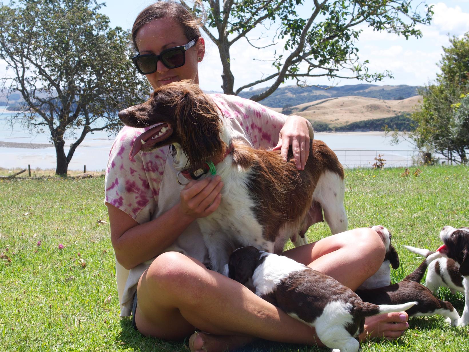 Clare from Cambridge, New Zealand