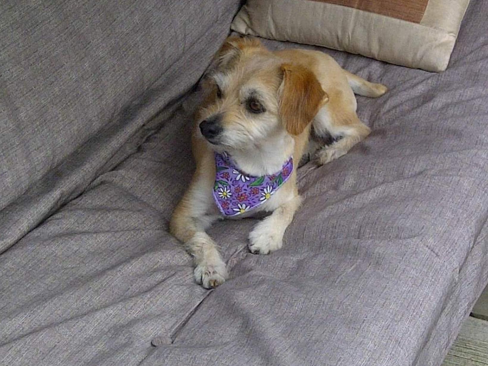Cristina from Toronto, Ontario, Canada