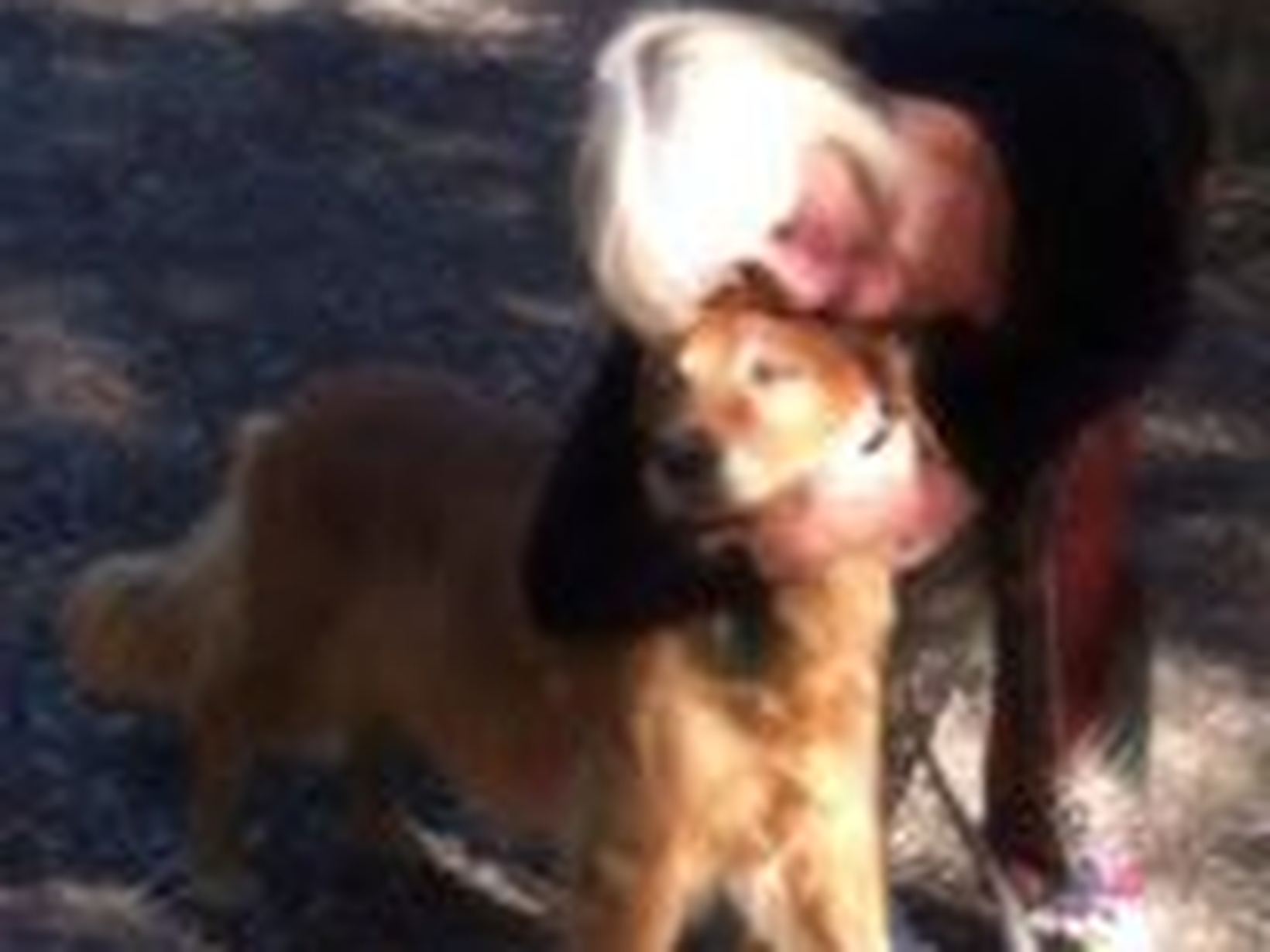 Geri from Union, Oklahoma, United States