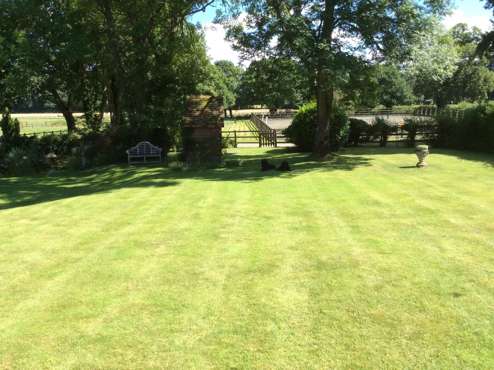 Housesitting assignment in Salisbury, United Kingdom