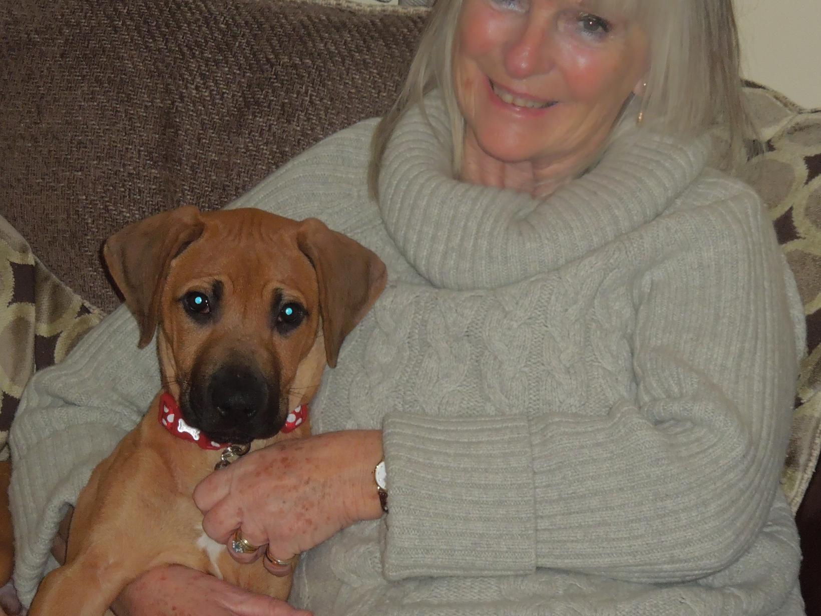 Mary & Tim from Carcassonne, France
