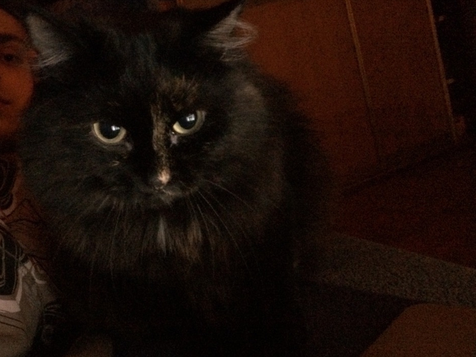 Lana from Natick, Massachusetts, United States