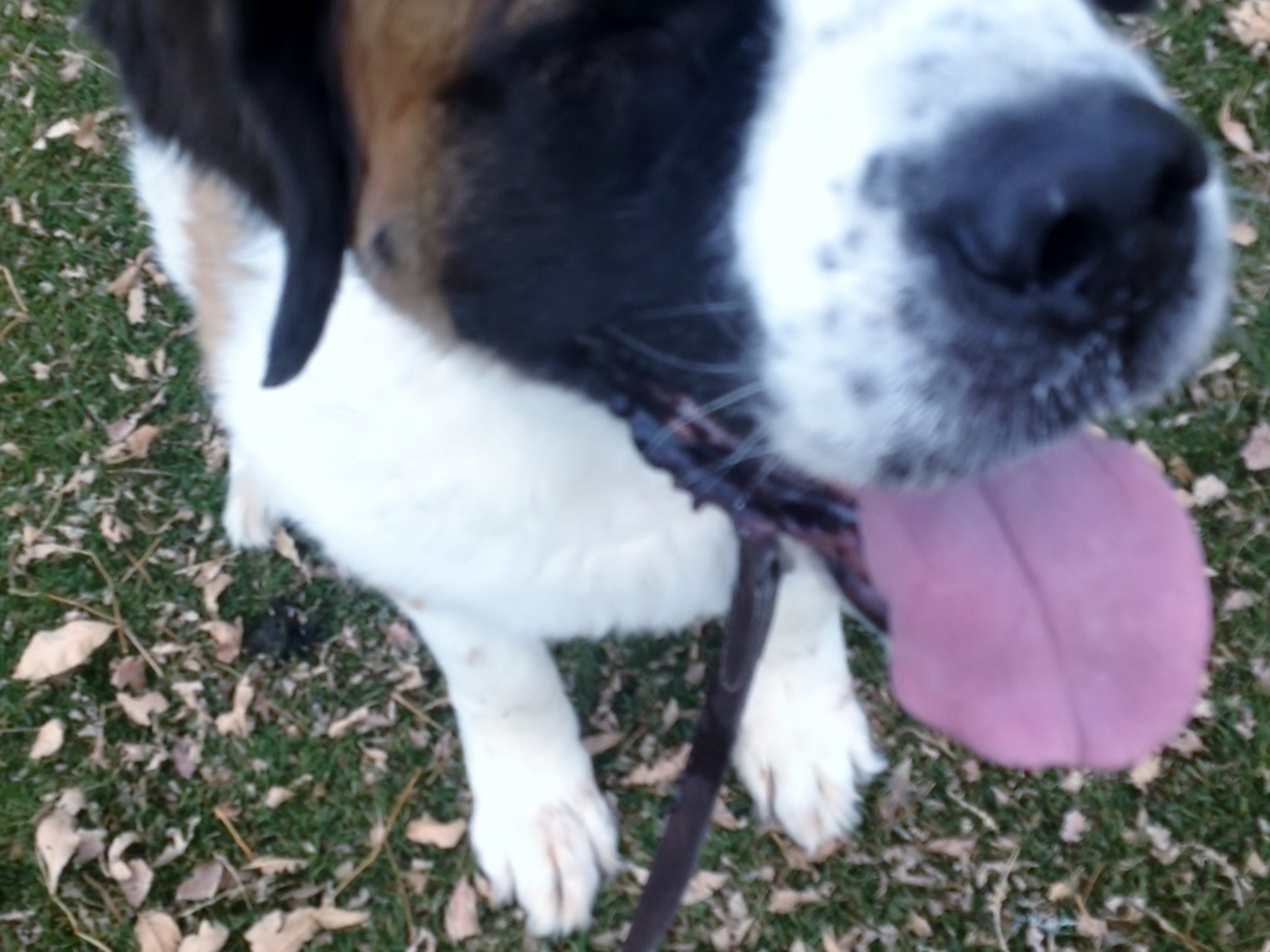 Caitlin from Denver, Colorado, United States