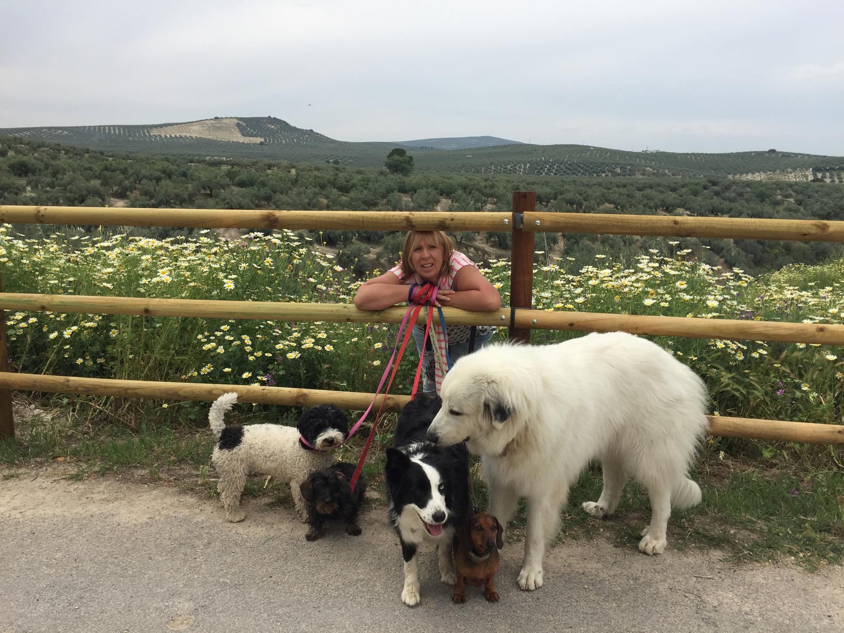 Sheelagh & Paul from Estepona, Spain