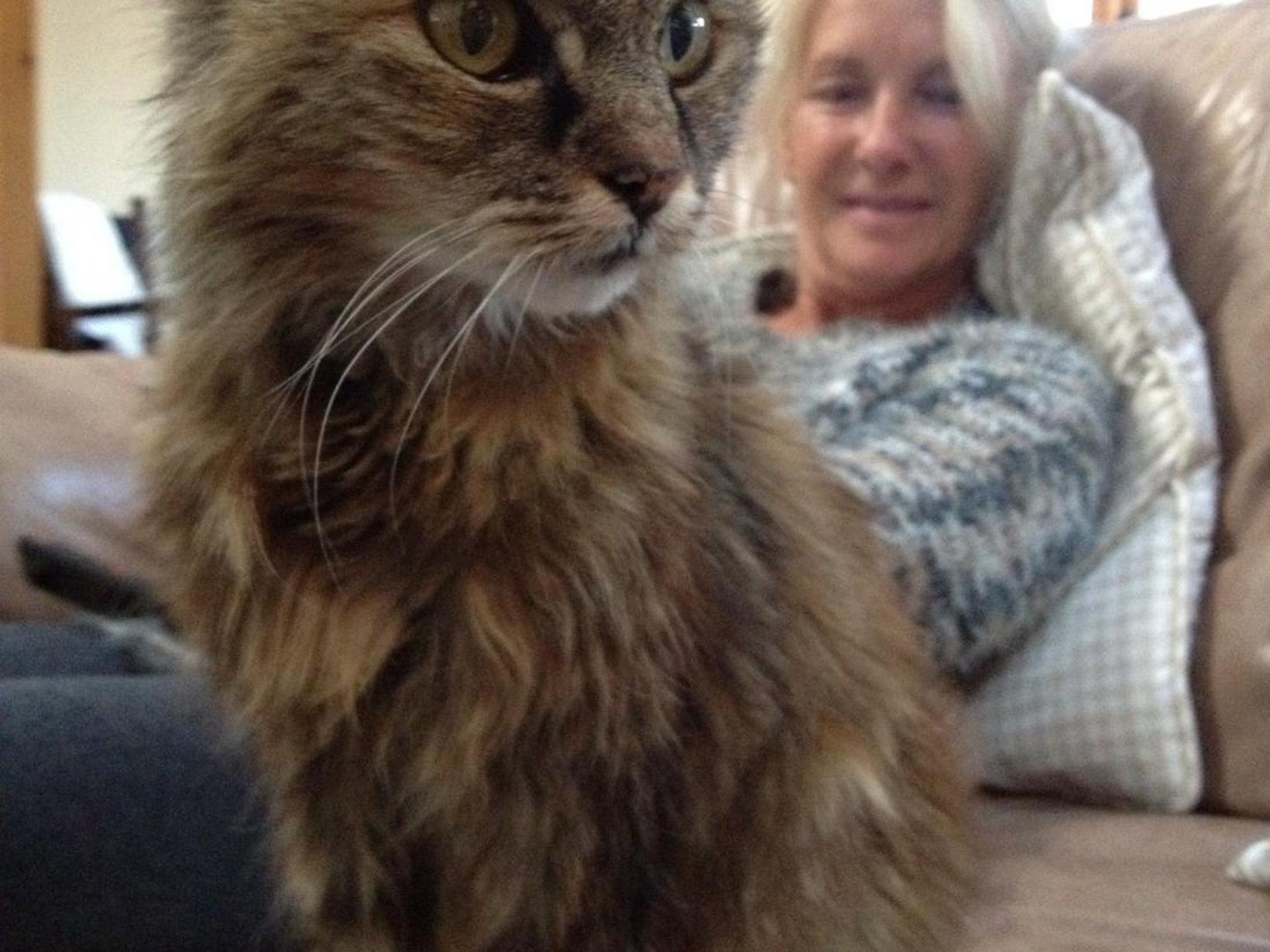 Sharon from Cheltenham, United Kingdom